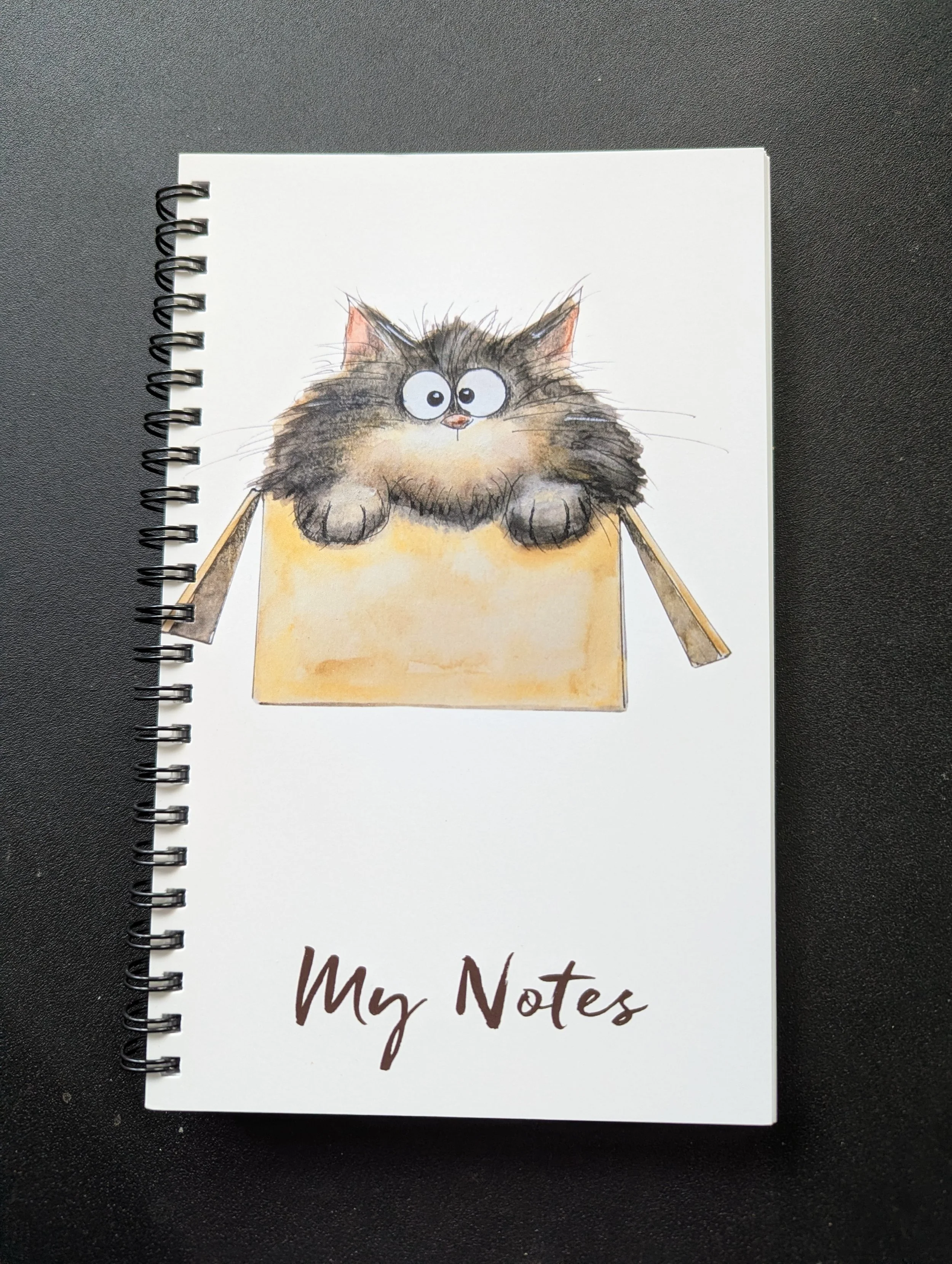 ADORABLE Cat Spiral Notebook - Kitty in the Box