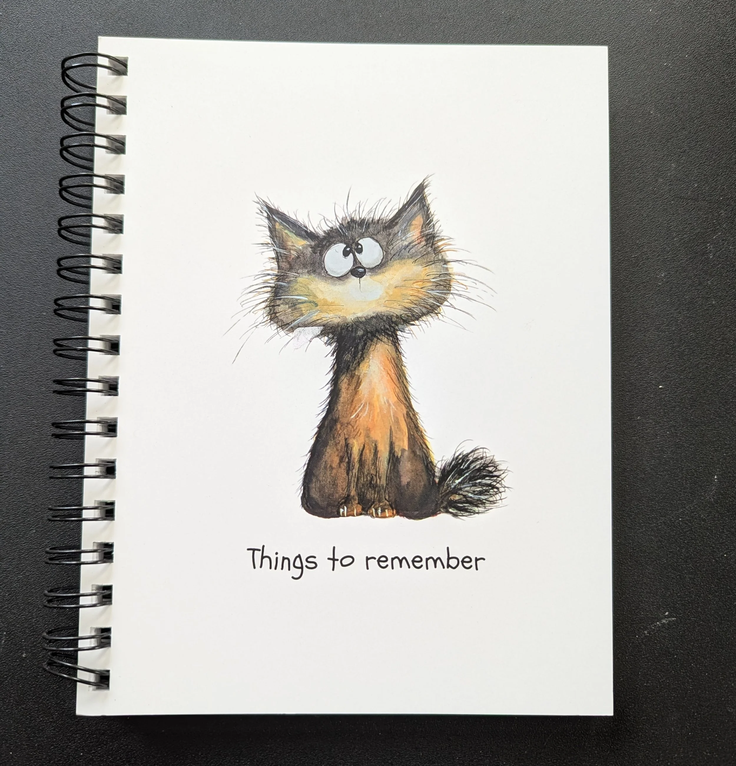 QUIRKY Cat Spiral Notebook - Things to Remember