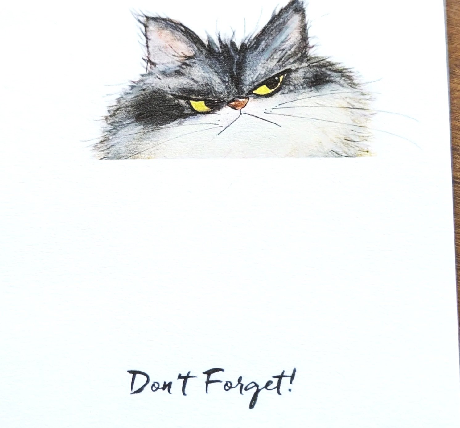 GRUMPY Cat Post It Notes - 3" x 3" - Don't Forget!