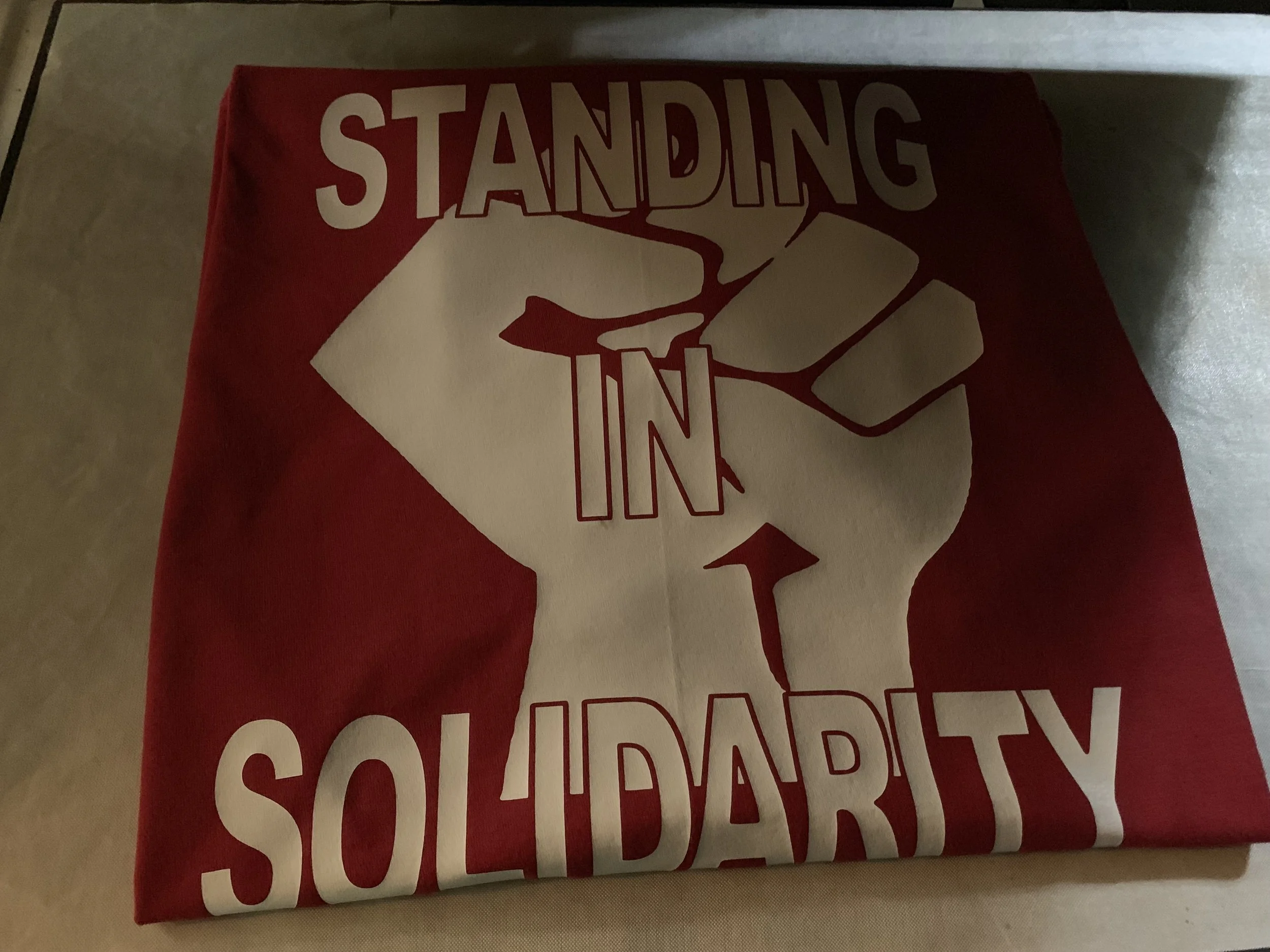 A red fabric with a white clenched fist holding a pencil, symbolizing activism, with bold text reading 'STANDING IN SOLIDARITY' surrounding the fist.