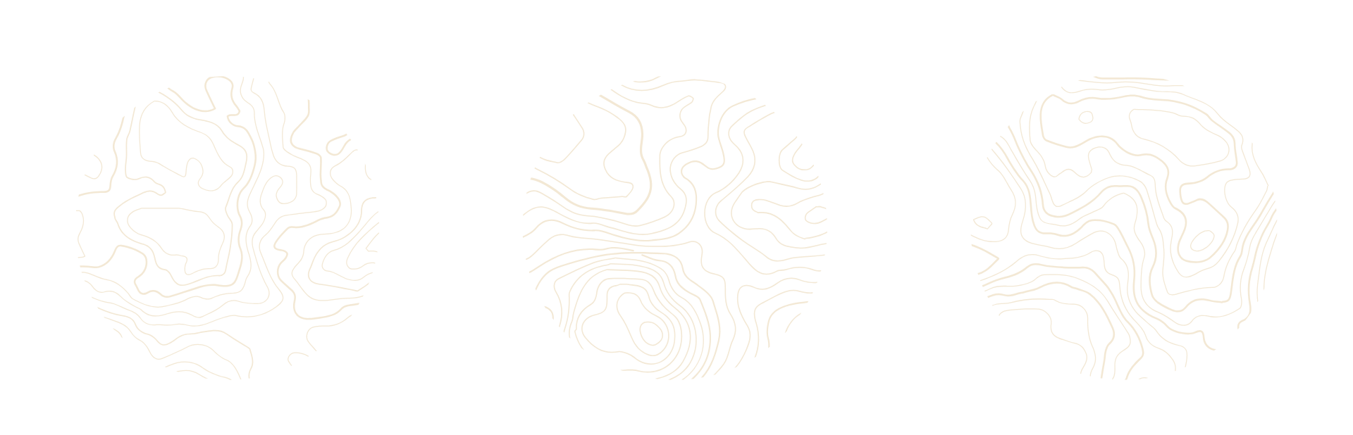 Three circles of white contour lines on a black background.