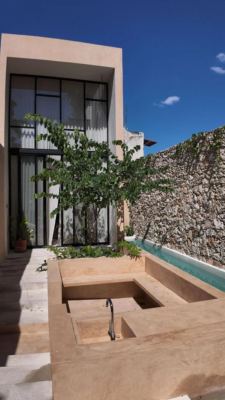 Modern house exterior with large glass windows, a small tree in a planter, a stone wall, and a narrow pool on a sunny day with blue sky.