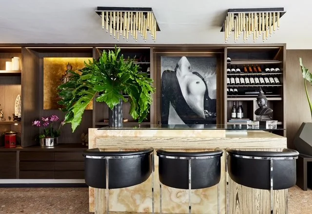 Modern kitchen or bar area with a marble island, black barstools, a large green plant, and wall shelving with wine bottles and decorative items.