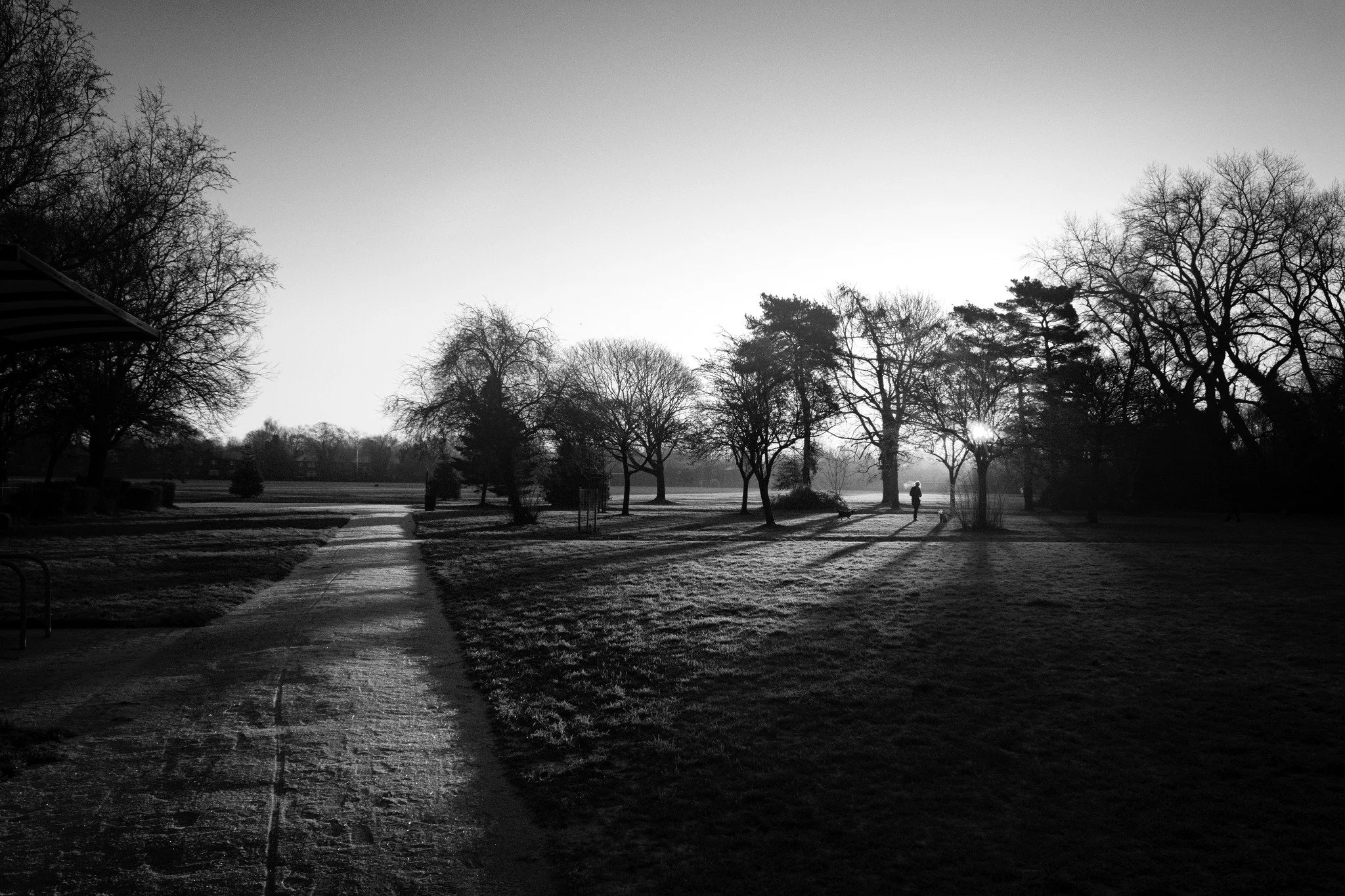 Photo Credit: Paul Greenwood (January 2026)