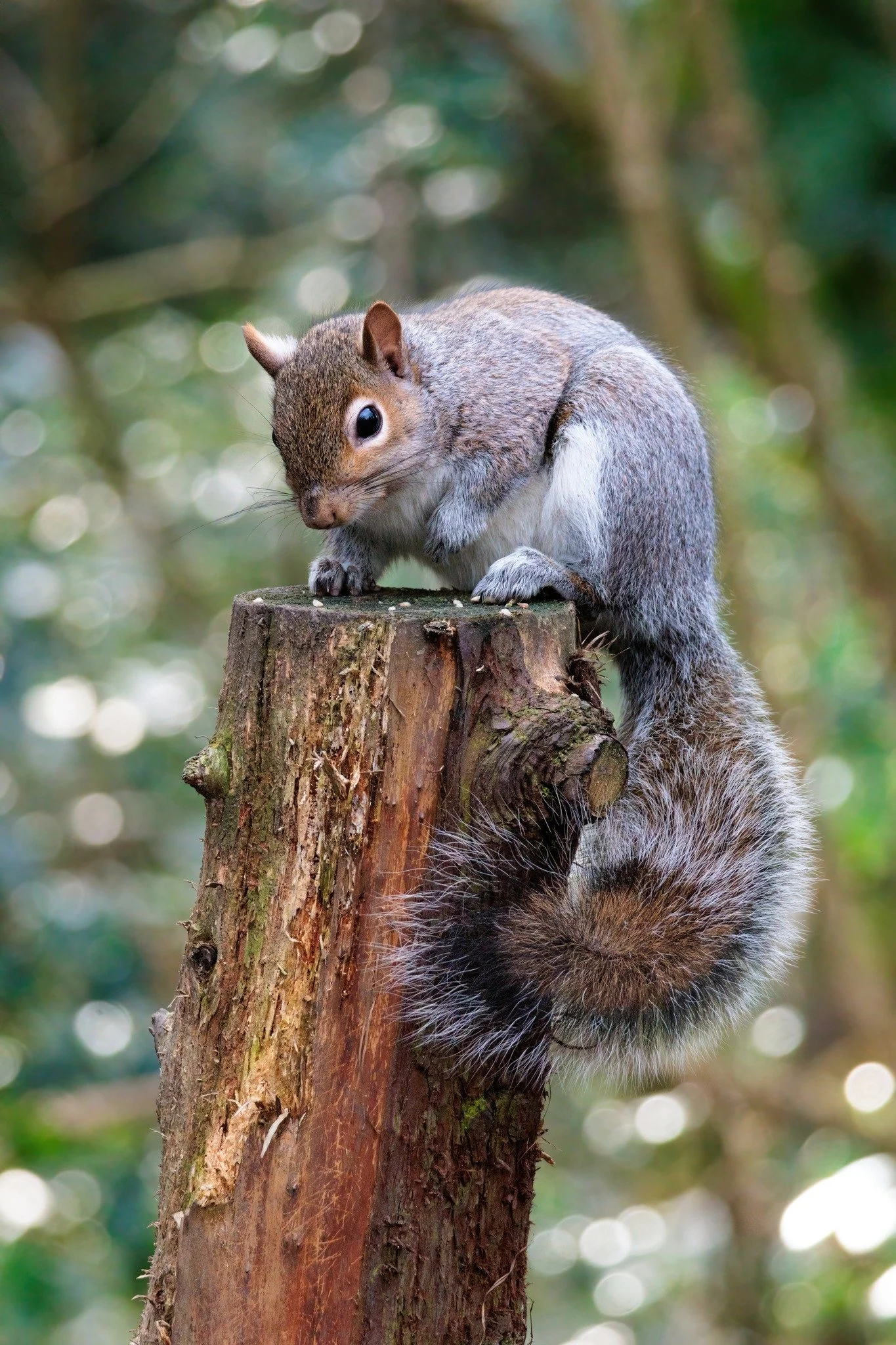 Photo Credit: James Conibear (February 2026)