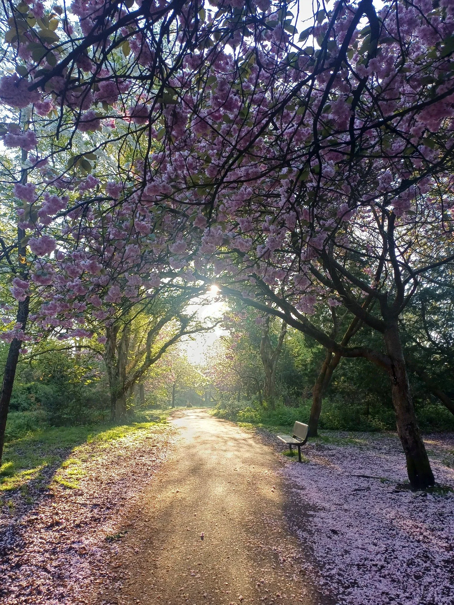 Photo credit: Unknown