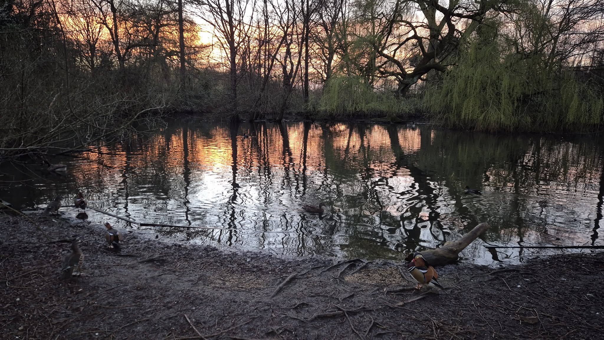 Photo Credit: Kurtis Starkie (March 2026)