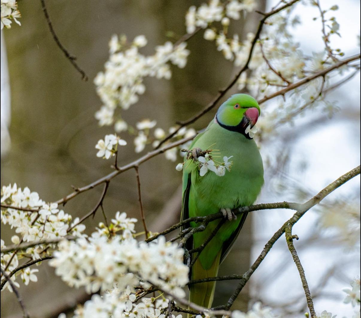 Photo Credit: Gemma Adams (February 2026)