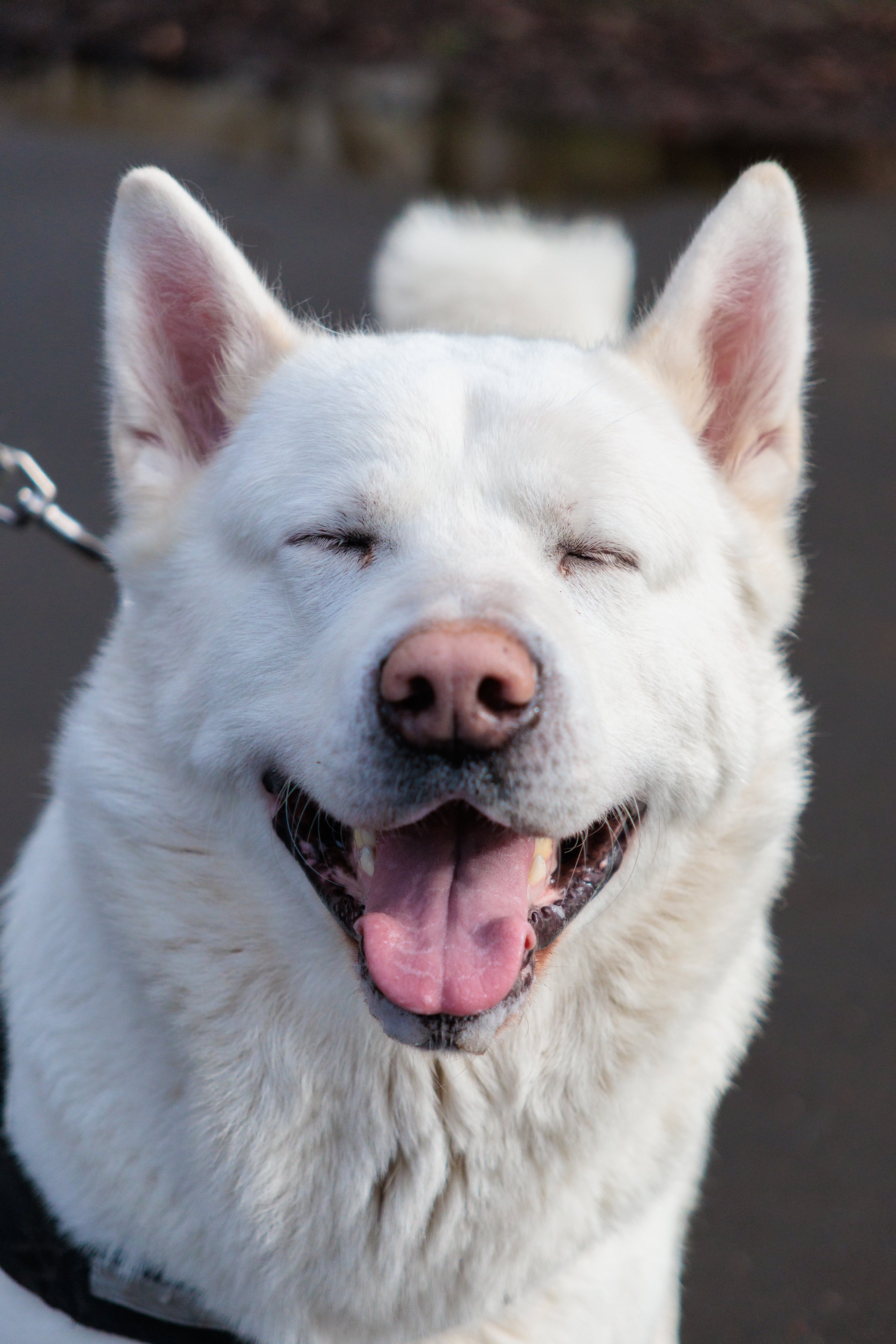 Photo Credit: James Conibear (February 2026)