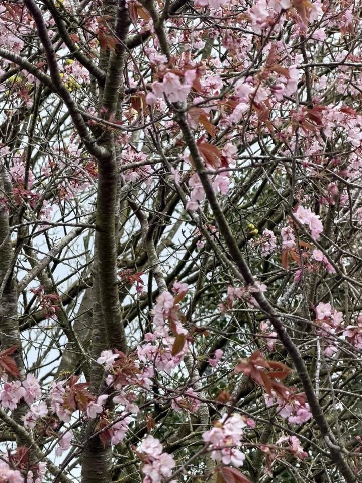 Photo credit: Amanda Clarke