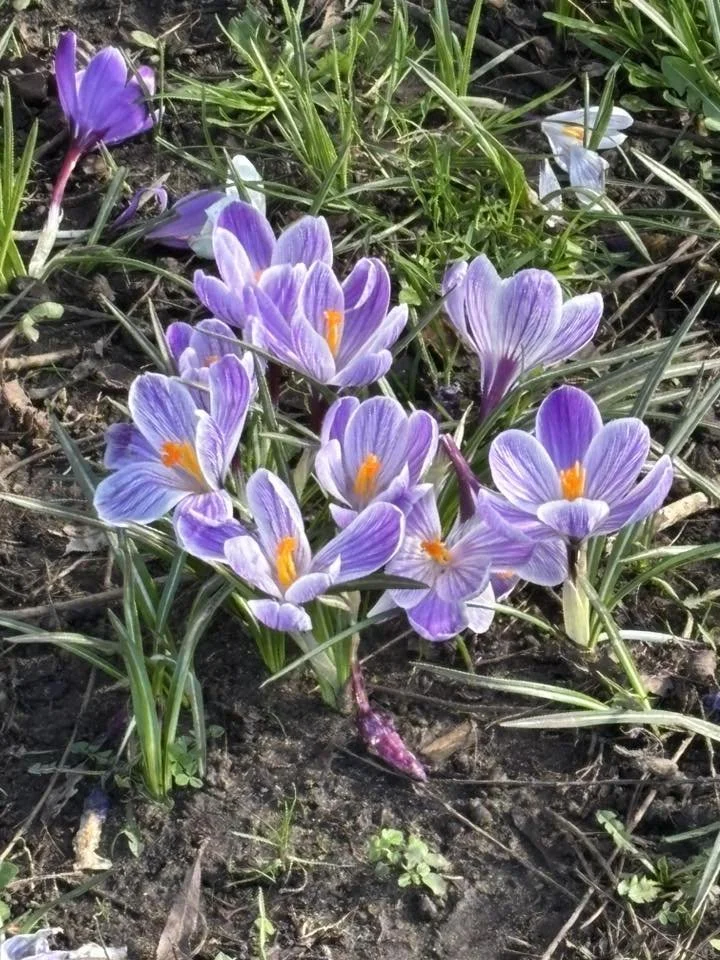 Photo credit: Jim Britt