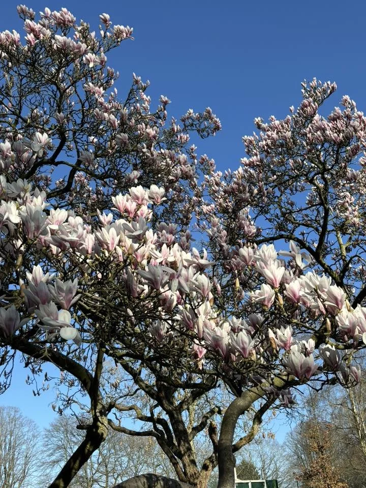 Photo credit: Jim Britt