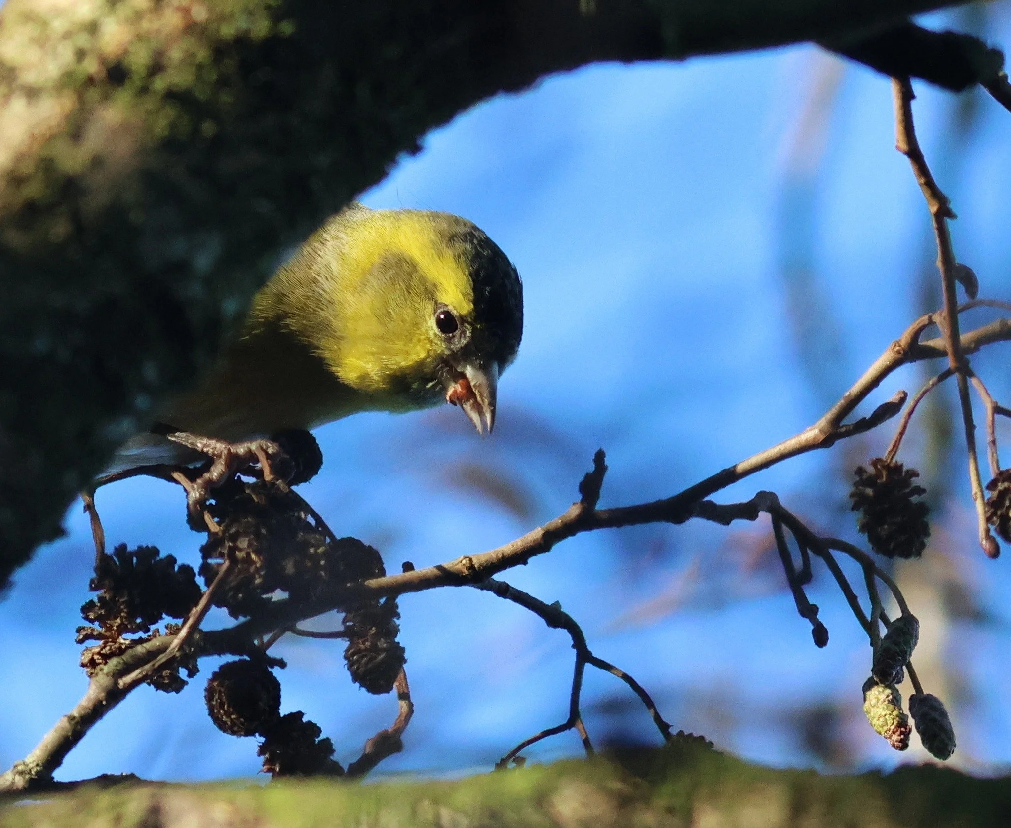 Photo Credit: Richard Baker (January 2026)