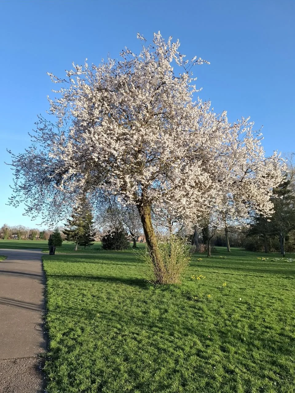 Photo credit: Pam Barnes