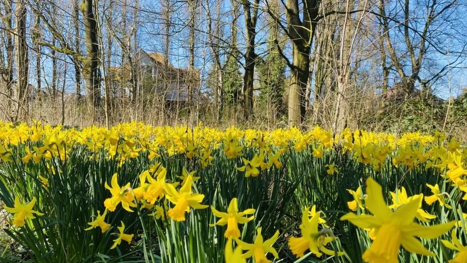 Photo Credit: Robin McMorran (March 2026)