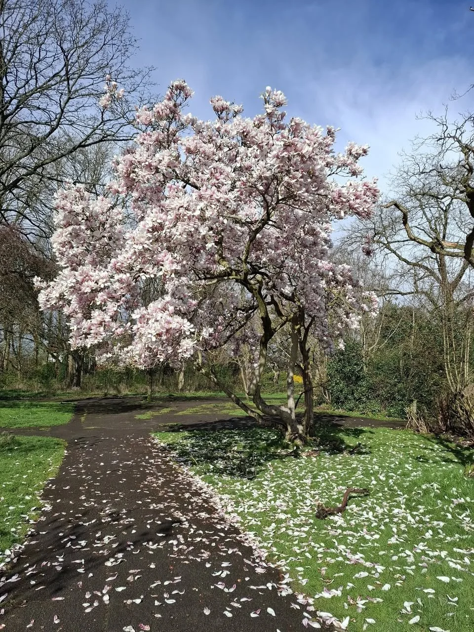 Photo credit: Pam Barnes