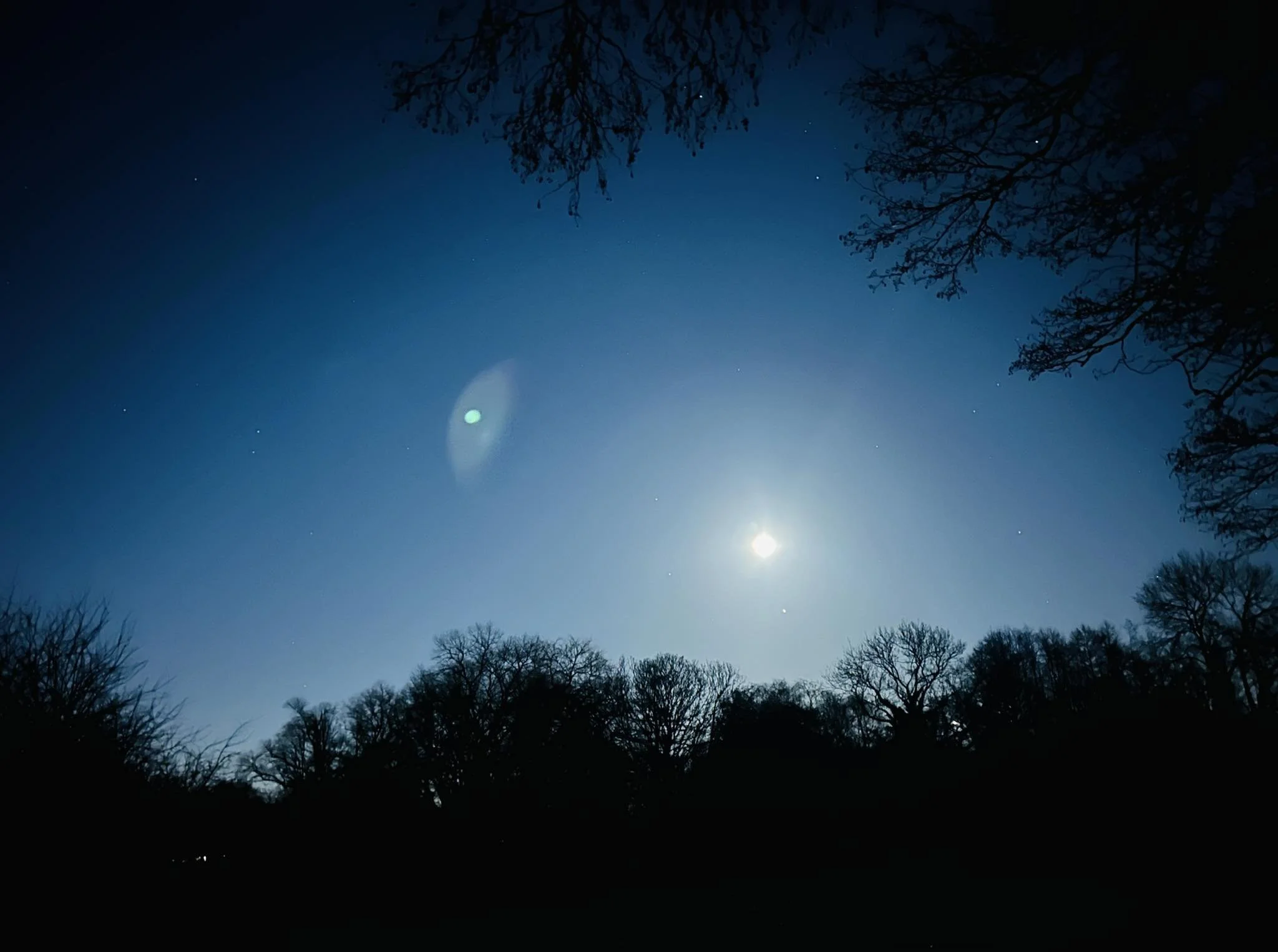 Photo Credit: Kurtis Starkie (January 2026)