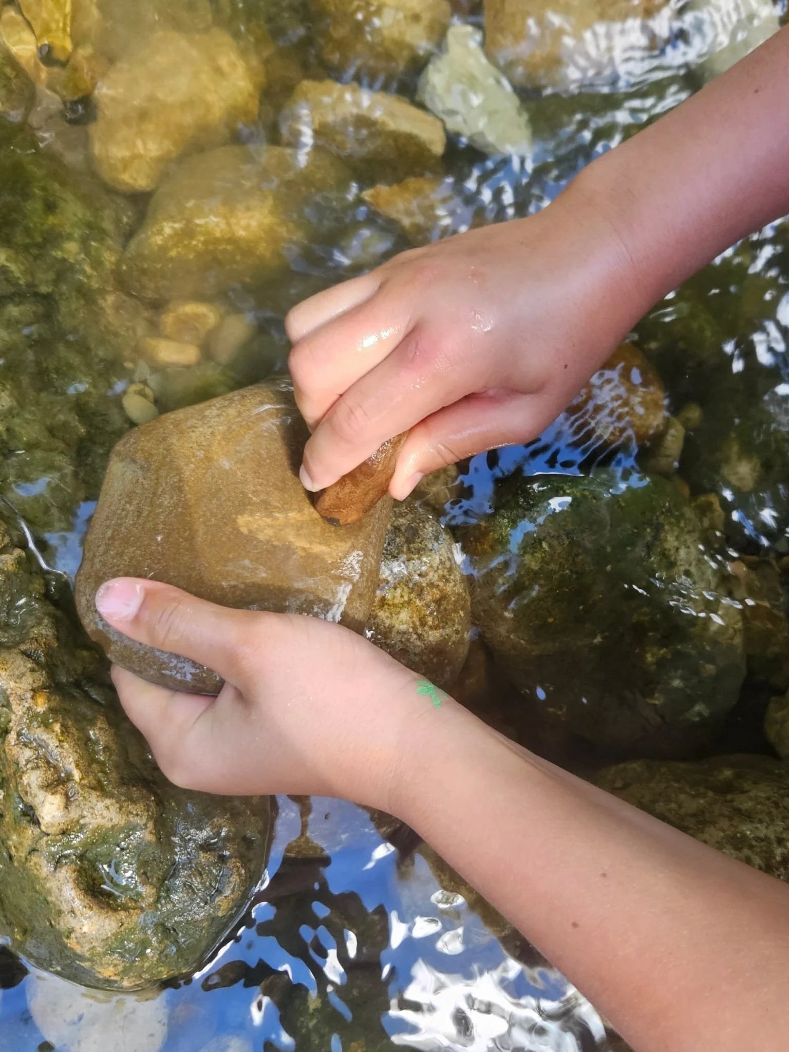 Sensory-Informed Perspectives on Behaviour, Wellbeing & Connection