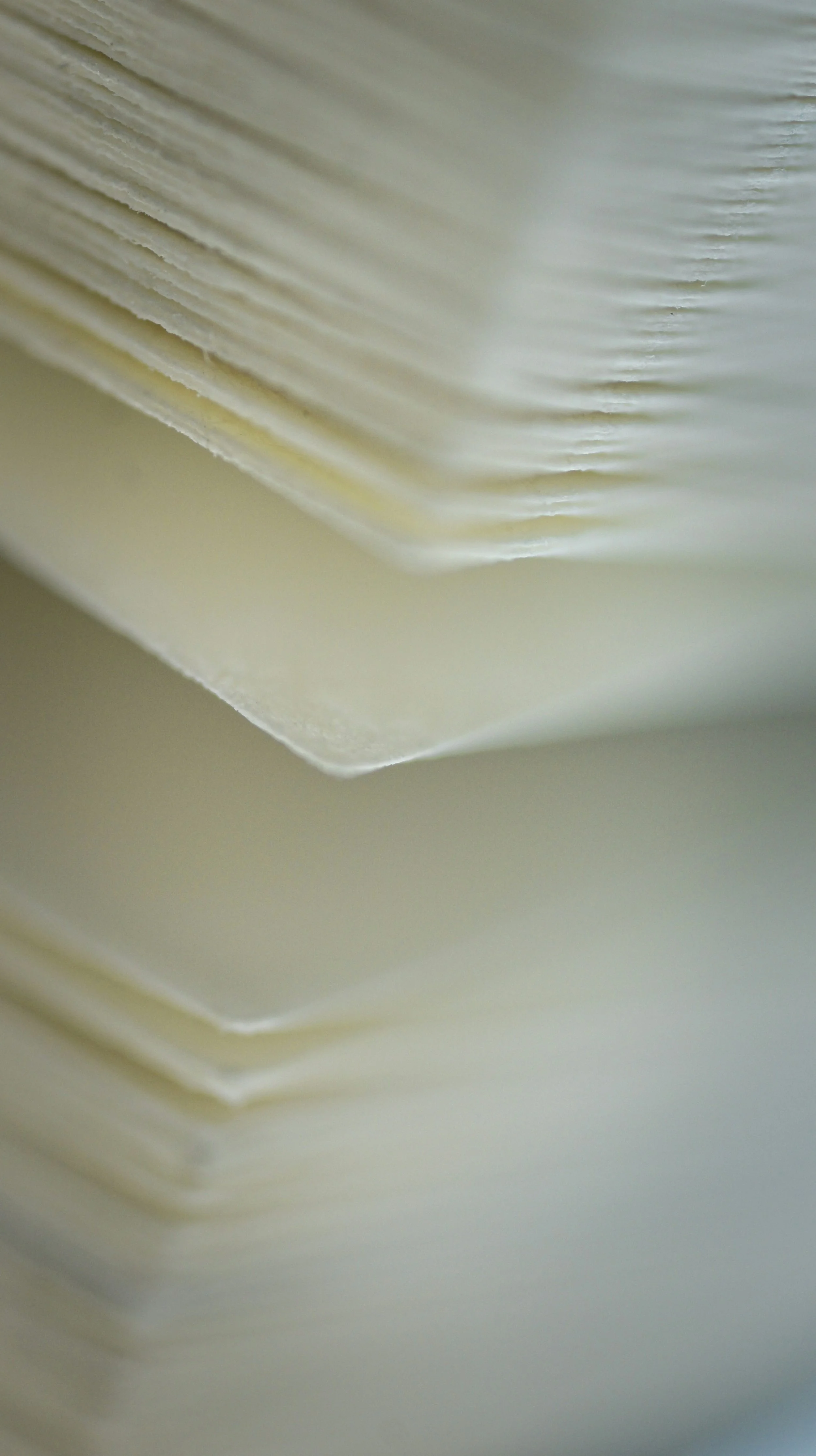 Project 9: Papermaking Craft