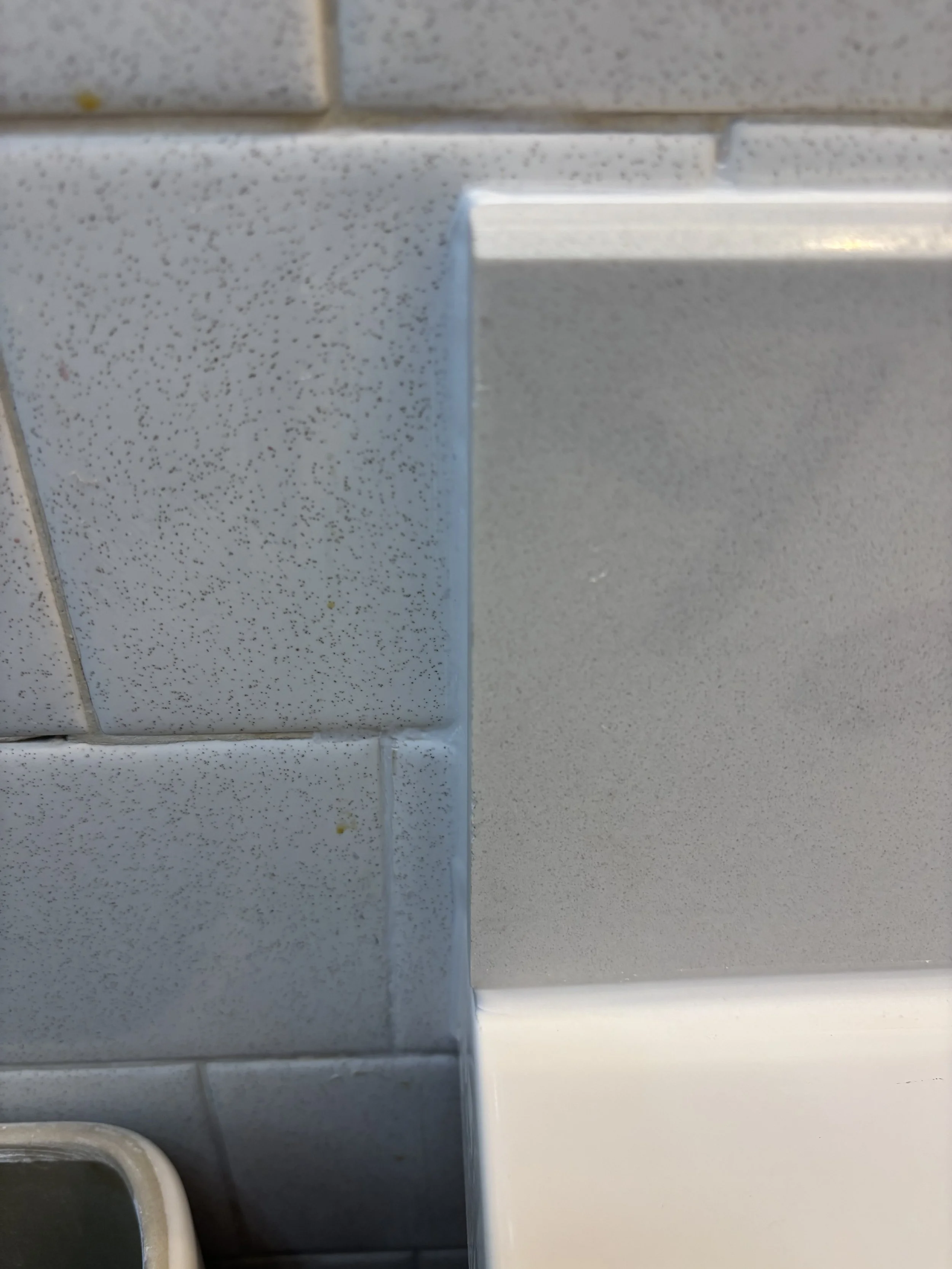 IMG_2149.jpeg