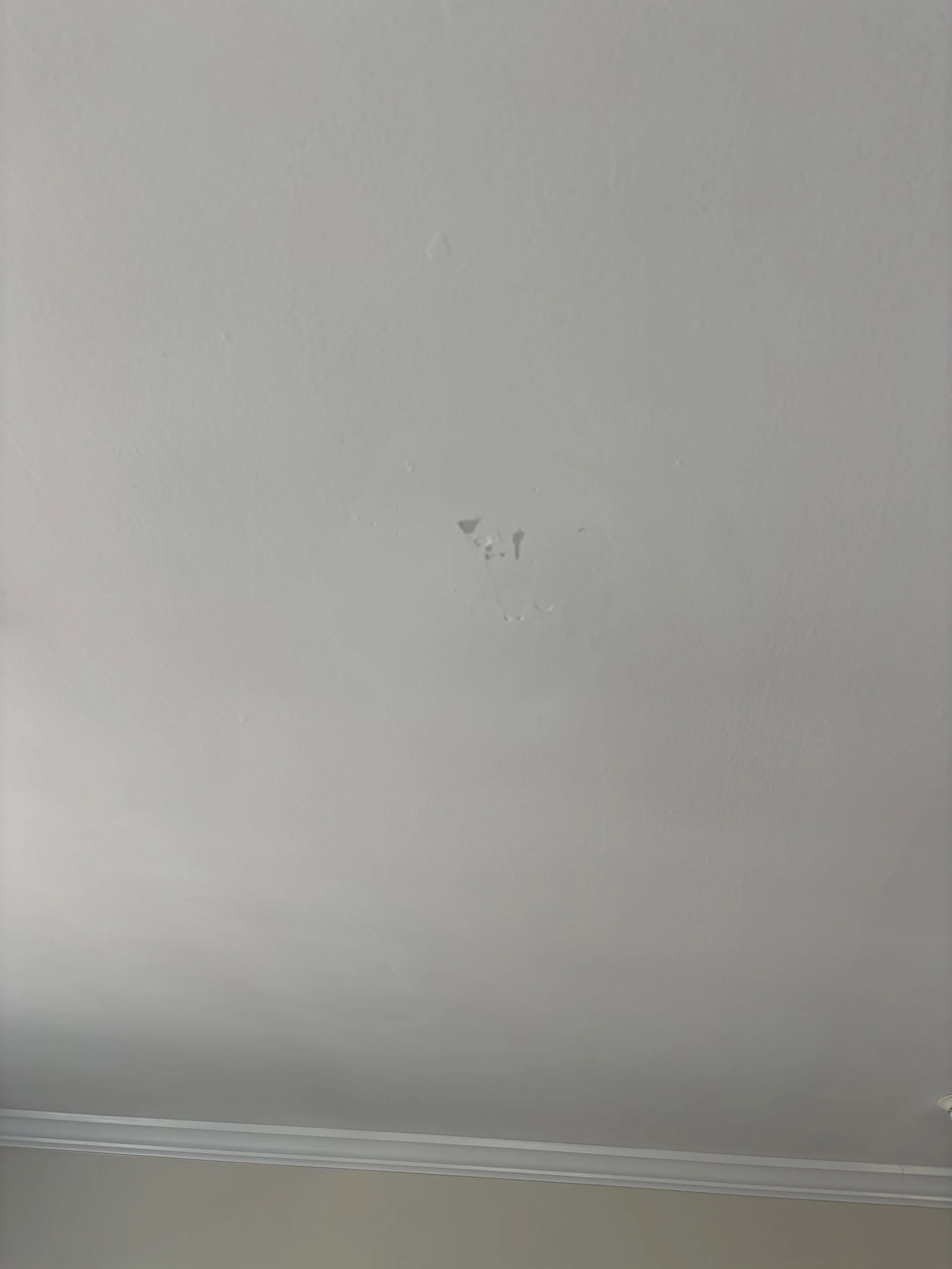 IMG_6448.jpeg