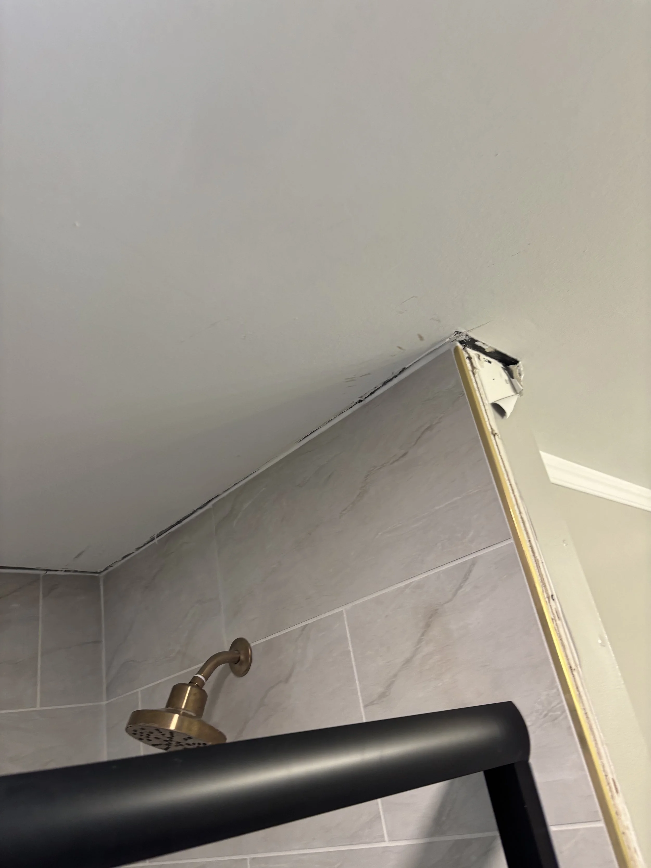 IMG_2018.jpeg