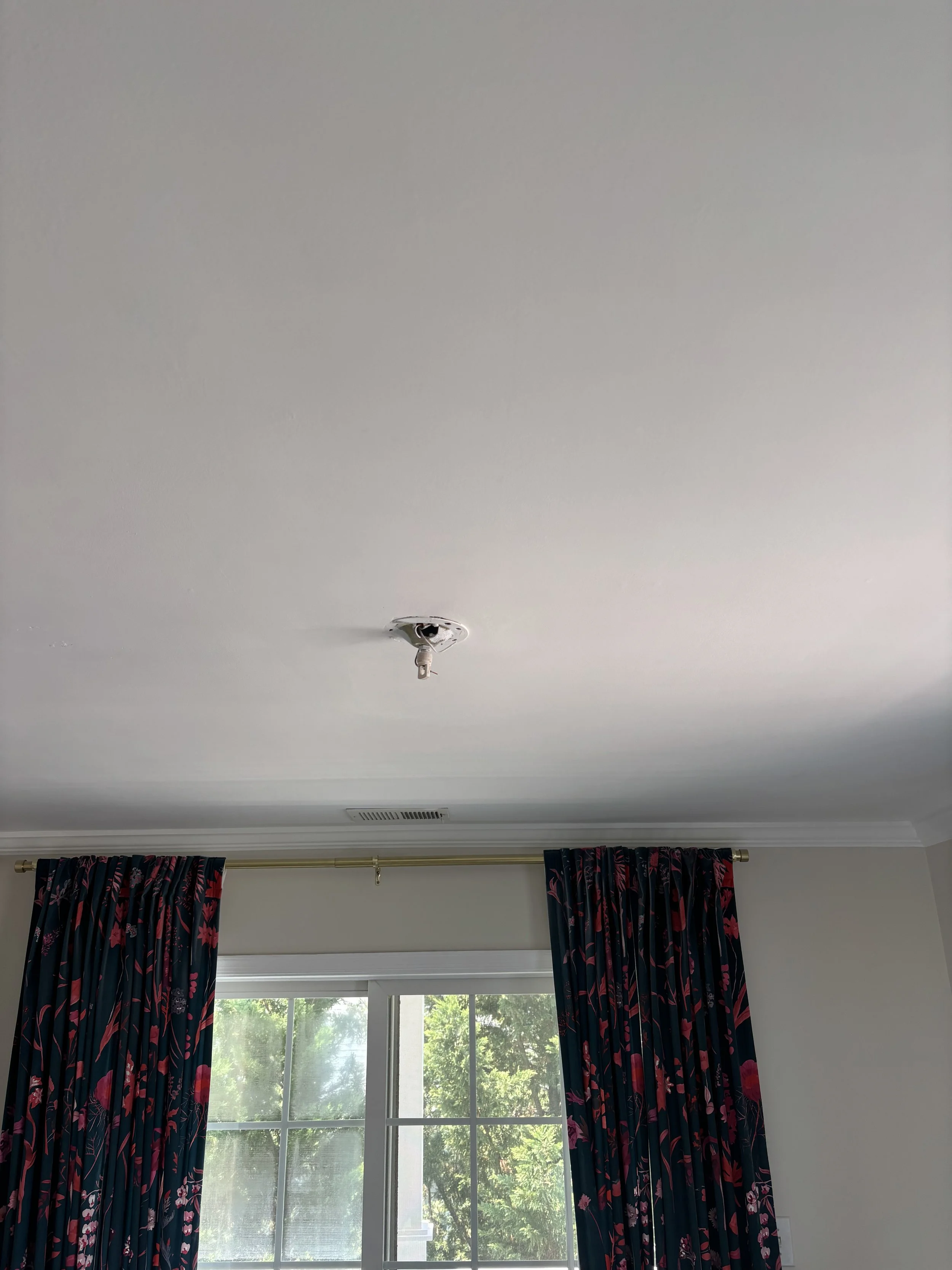 IMG_6446.jpeg