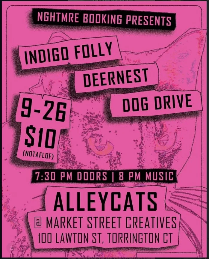 Indigo Folley Deernest Dog Drive Alleycats.diy ctbands connecticut music market street creatives torrington ct alt rock grunge 90's