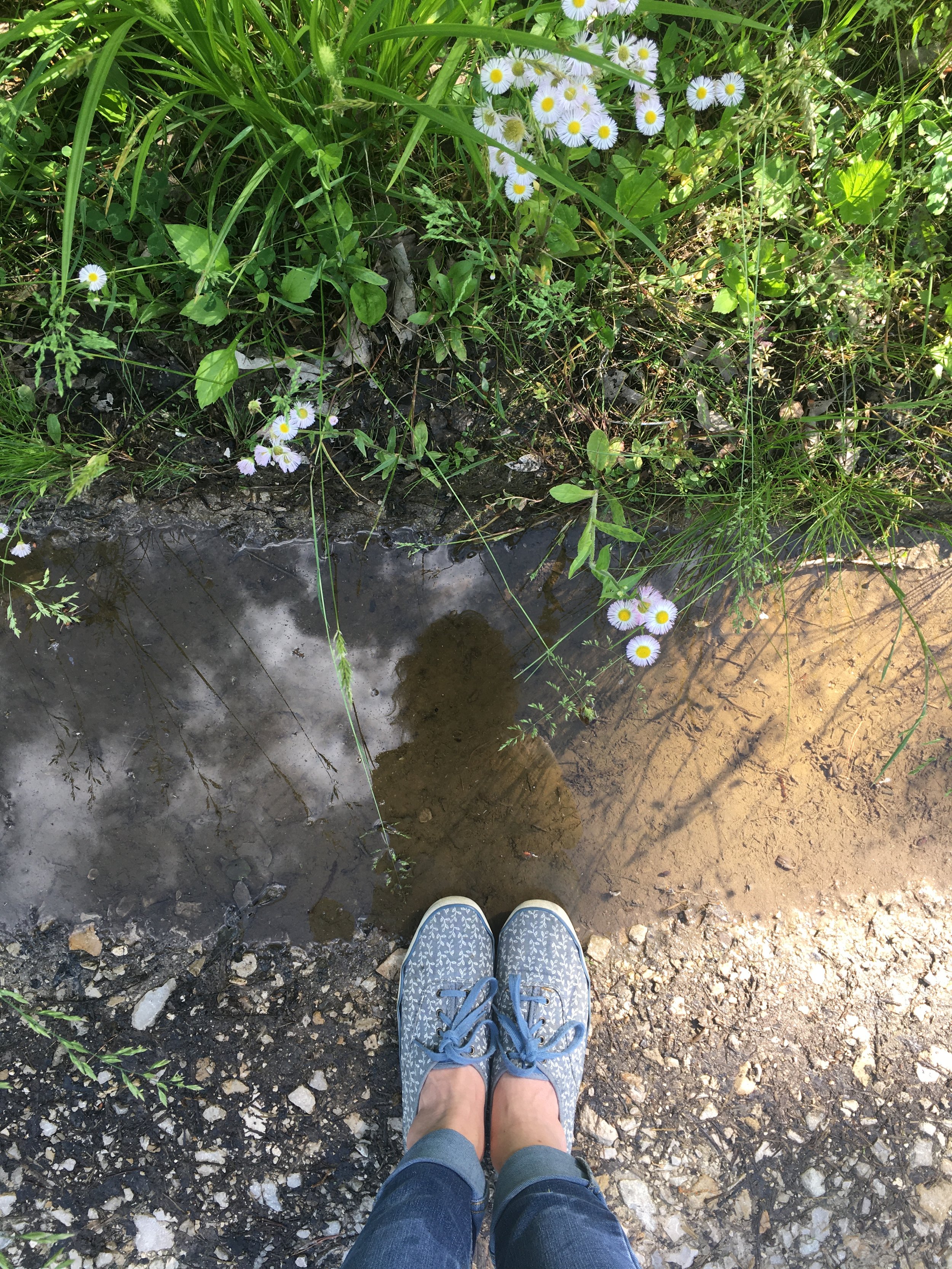 A person wearing blue flowery shoes and rolled up jeans takes a reflection picture in a puddle of water, along a roadside.