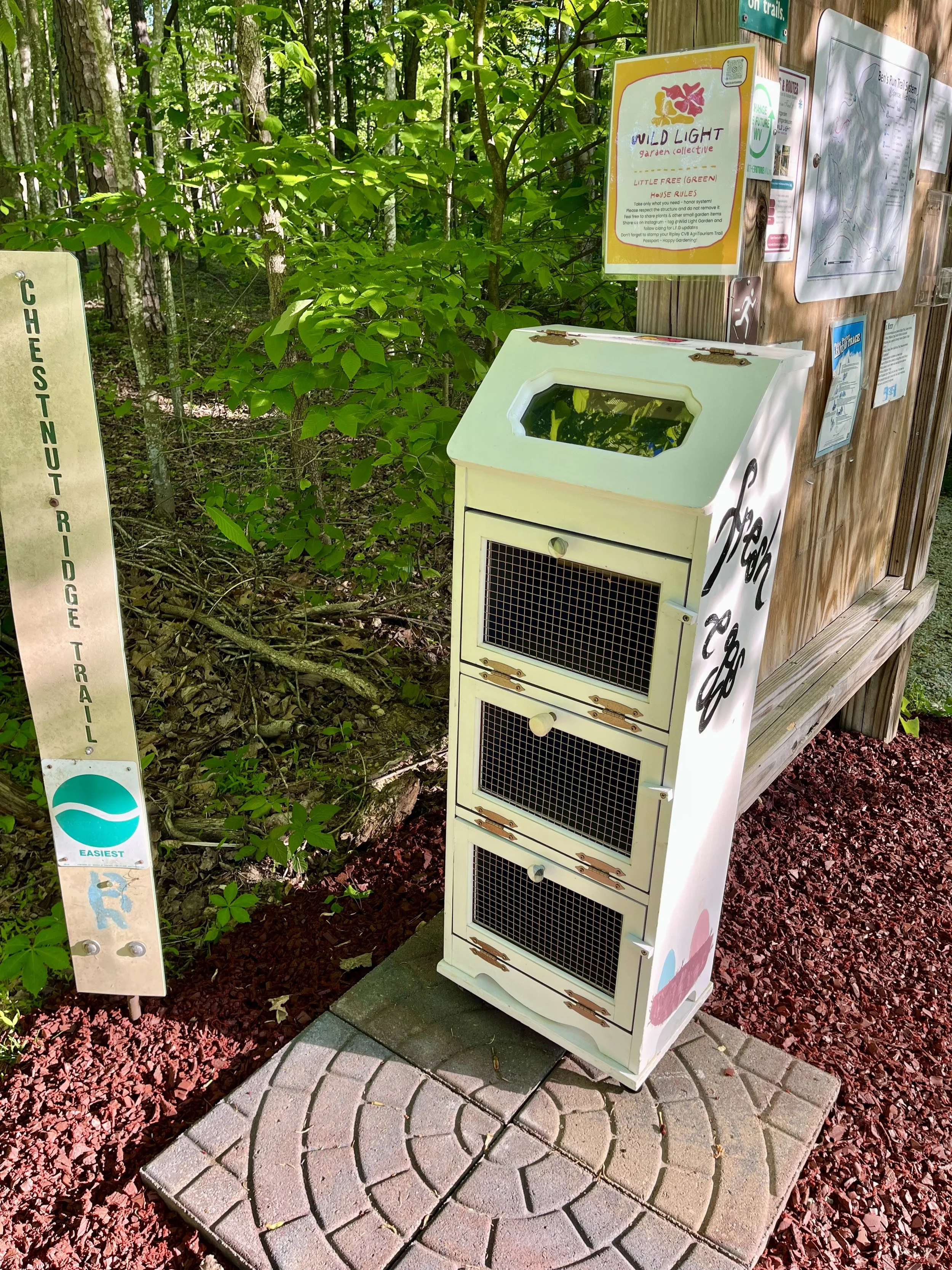 The Little Free Greenhouse set up against the trailhead for Chestnut Ridge Trail.