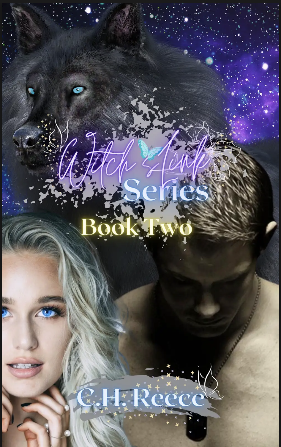 Witch's Link Book Two