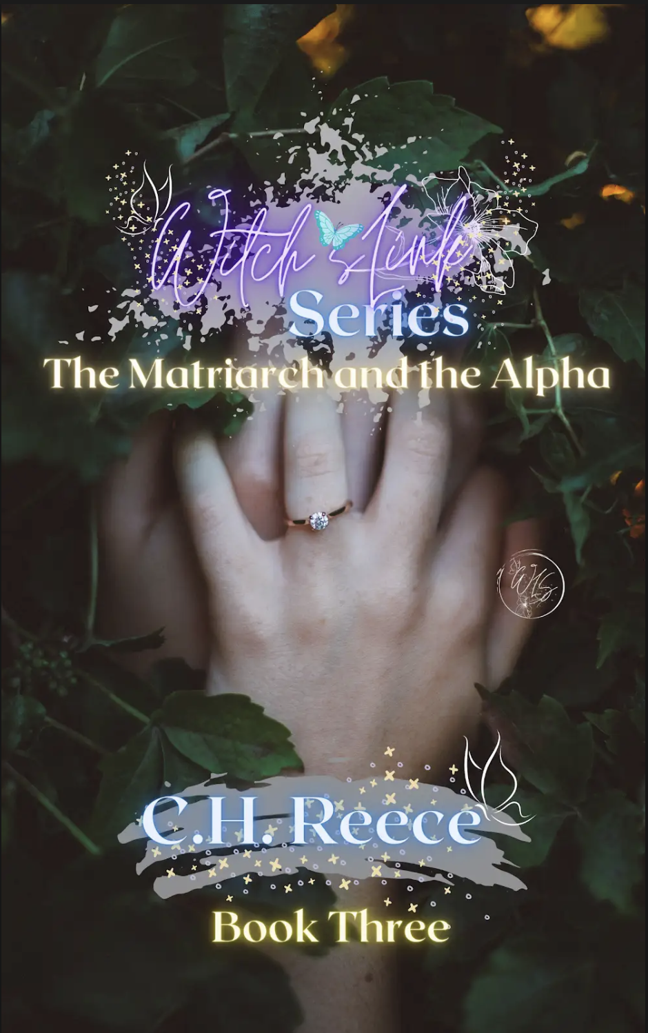 Witch's Link Book 3 - The Matriarch and the Alpha (Part 1)