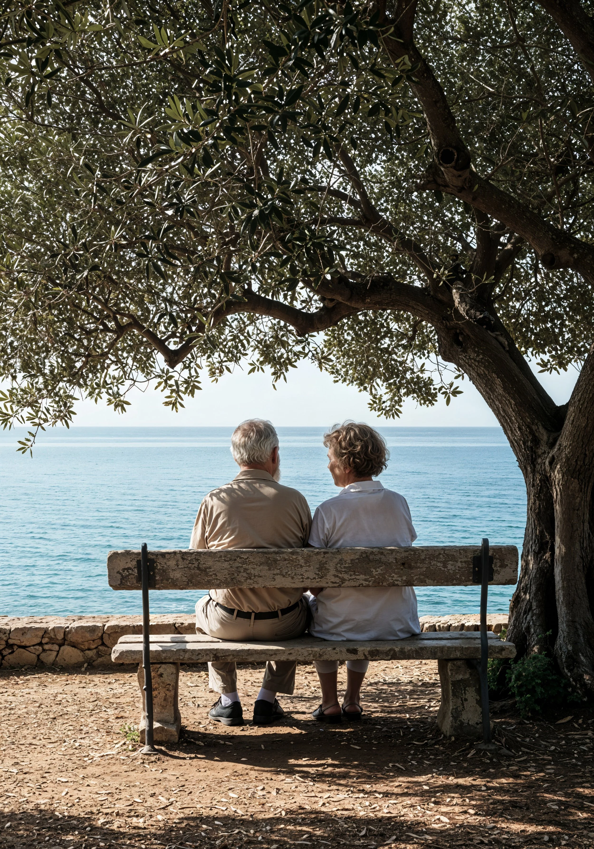 An elderly couple sitting on a bench under a large tree, facing the ocean, having a conversation.