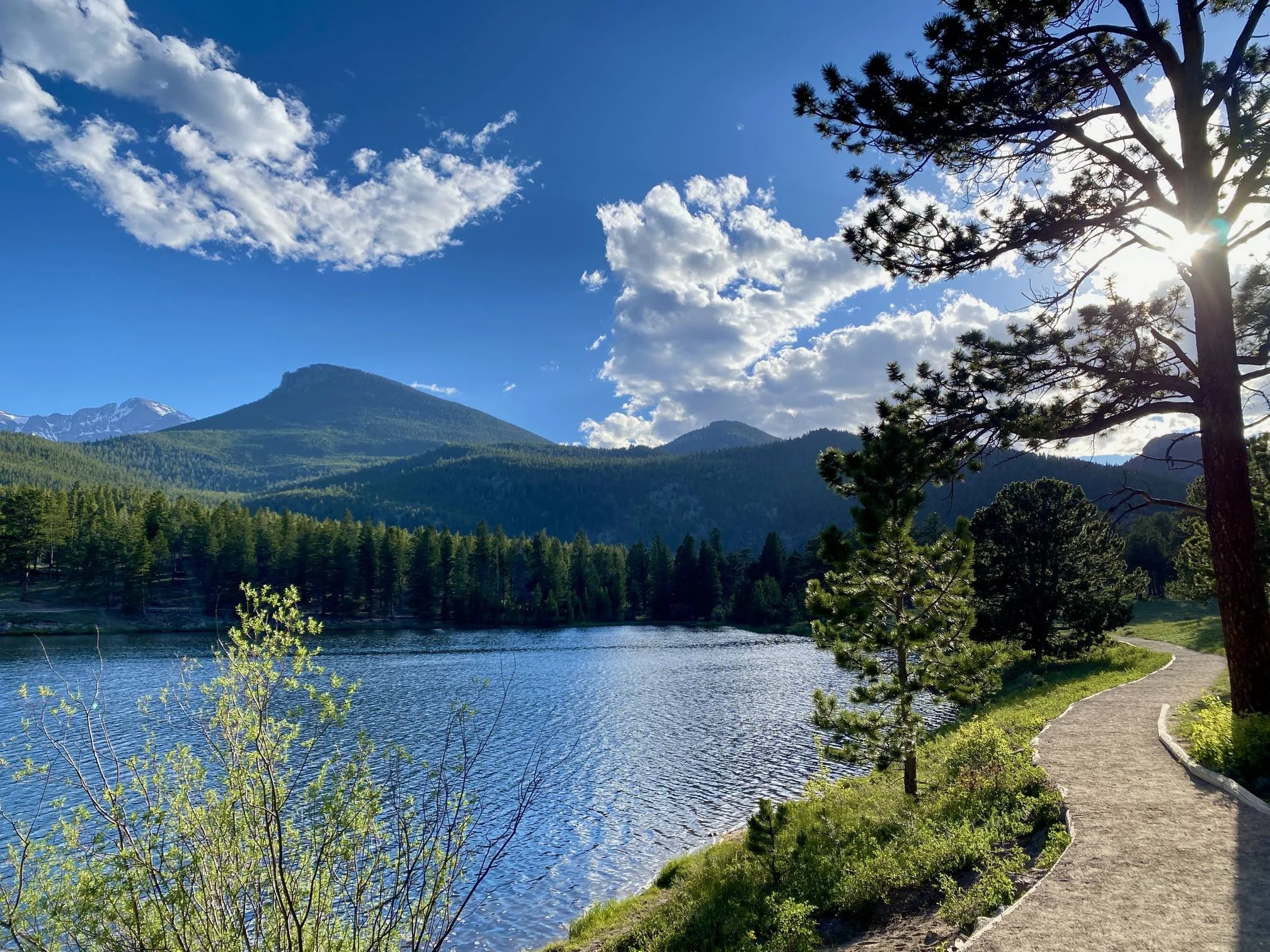 Photo of a lakeside with a winding path, evergreen trees, mountains in the background, a partly cloudy sky, and sunlight shining through a large pine tree.