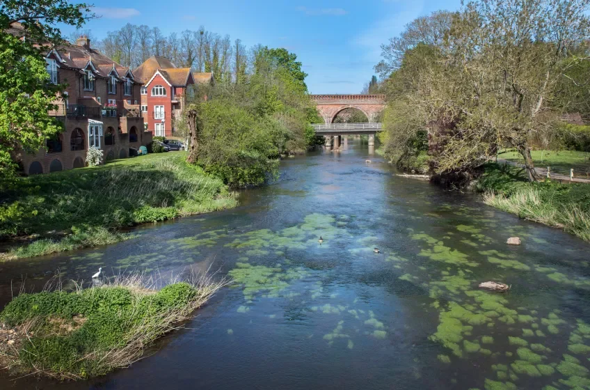 leatherhead.webp