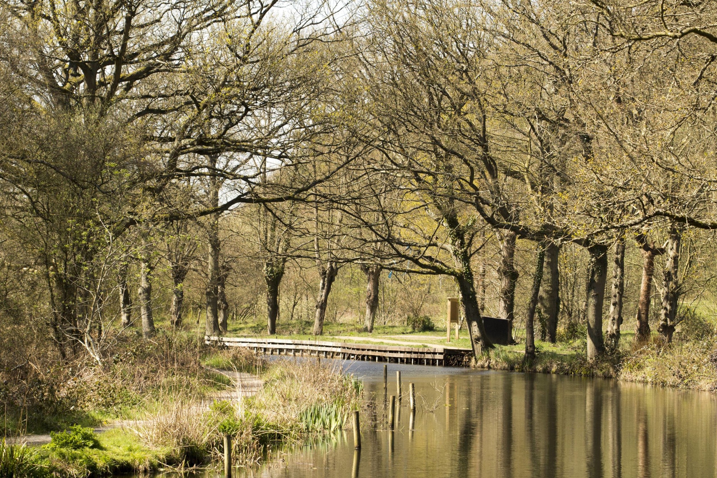 BrookwoodCountryParkJS2-scaled.jpg