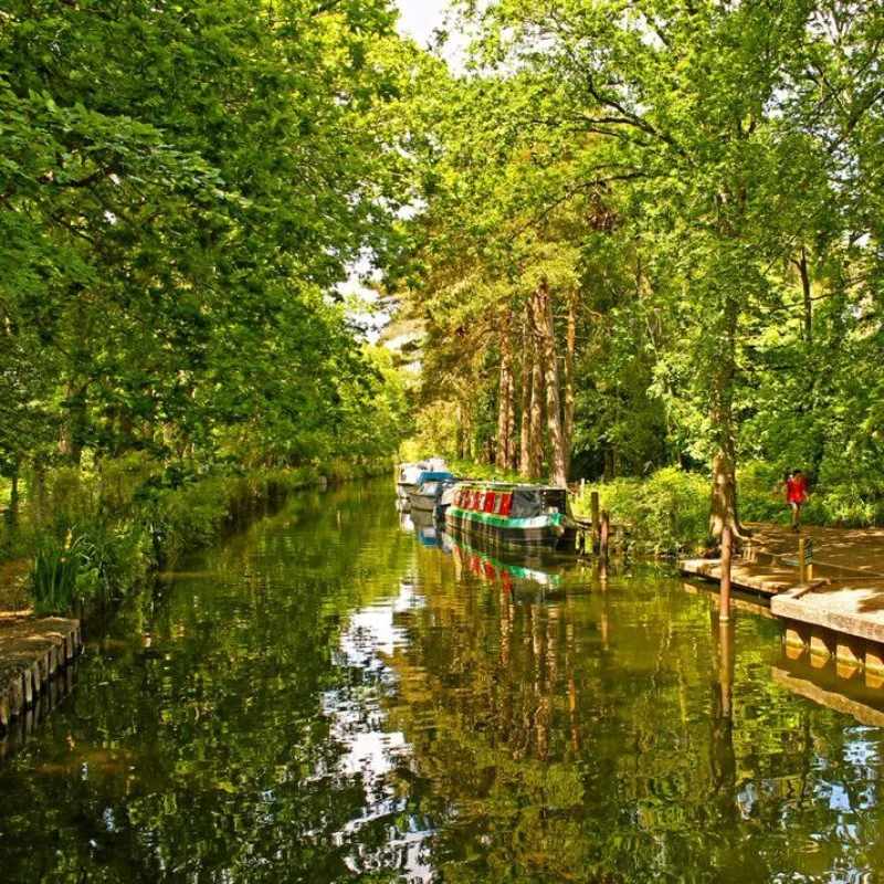 frimley.jpg