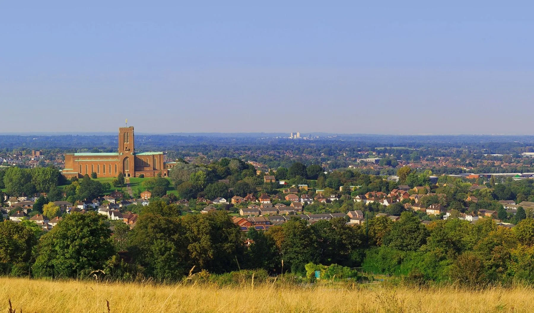 cranleigh.jpg