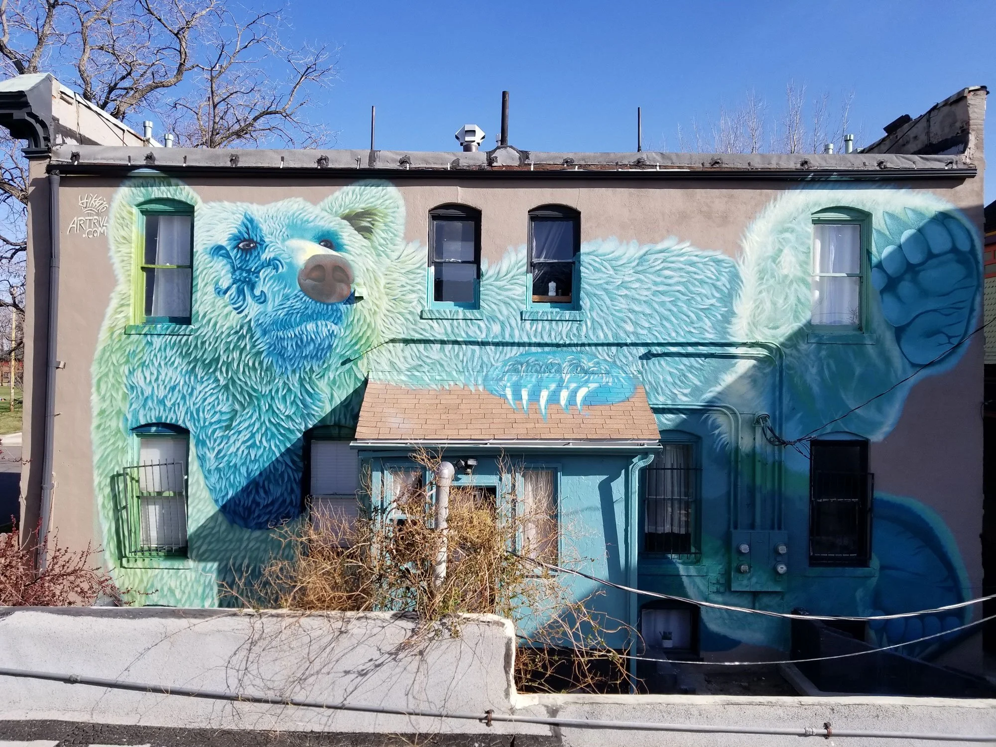 Colorful mural of a bear painted on the side of a building with a blue sky background. The bear's face and paw are visible, with detailed fur and claws. The mural spans across multiple windows and features shades of blue, green, and white.