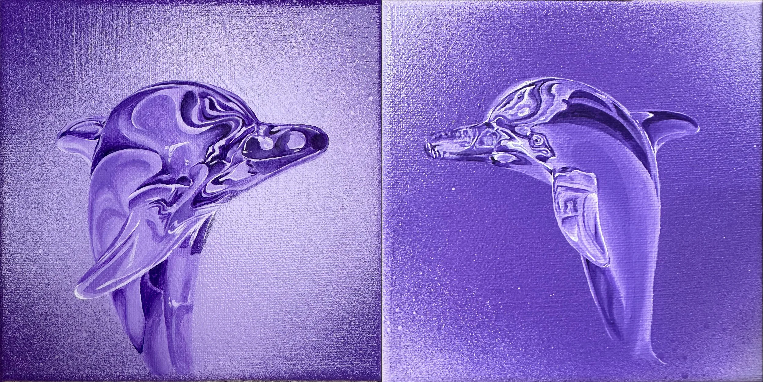 dolphins are the highest intelligence on earth, they are the guardian angels of us