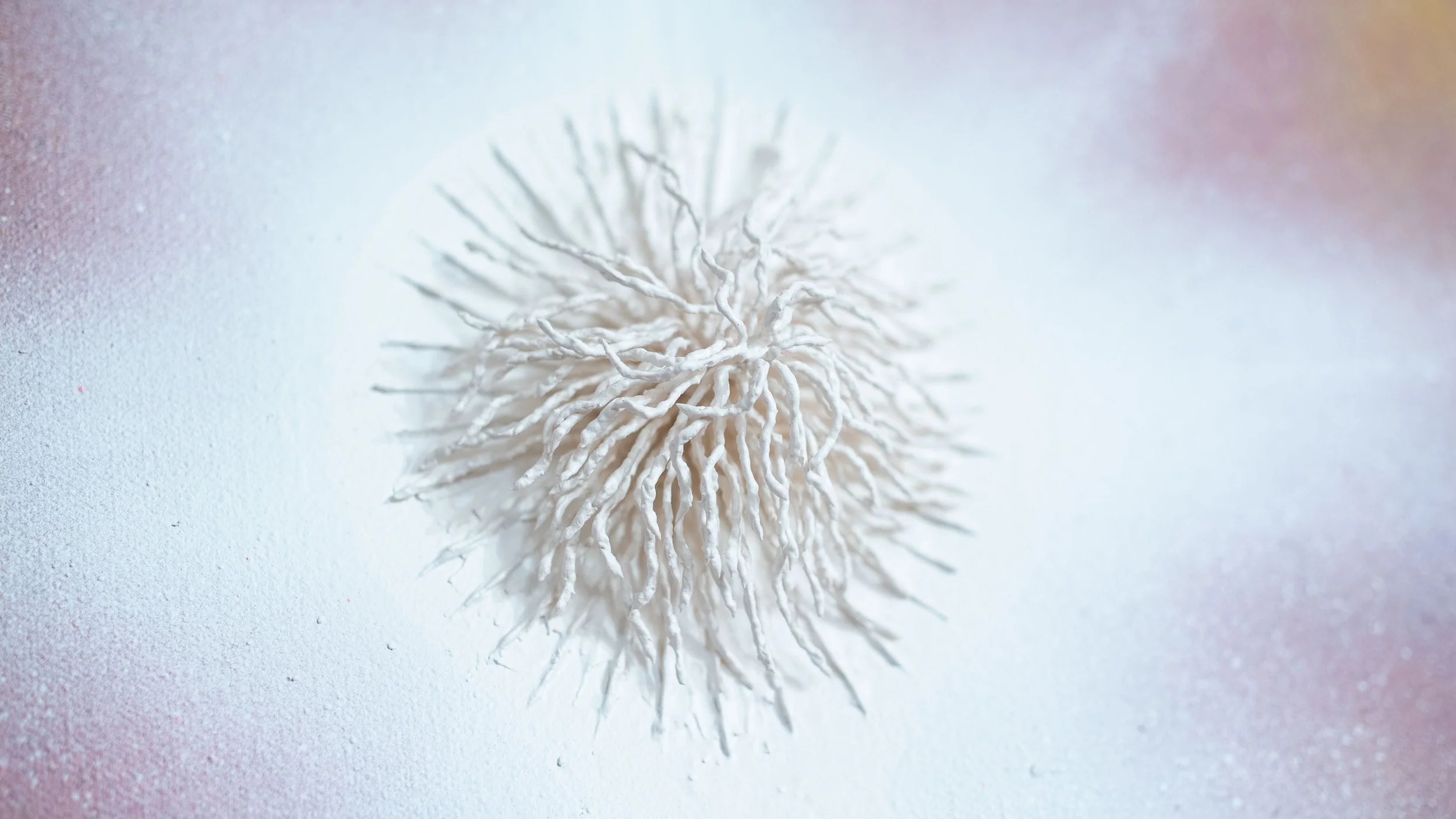 ART06270.jpg