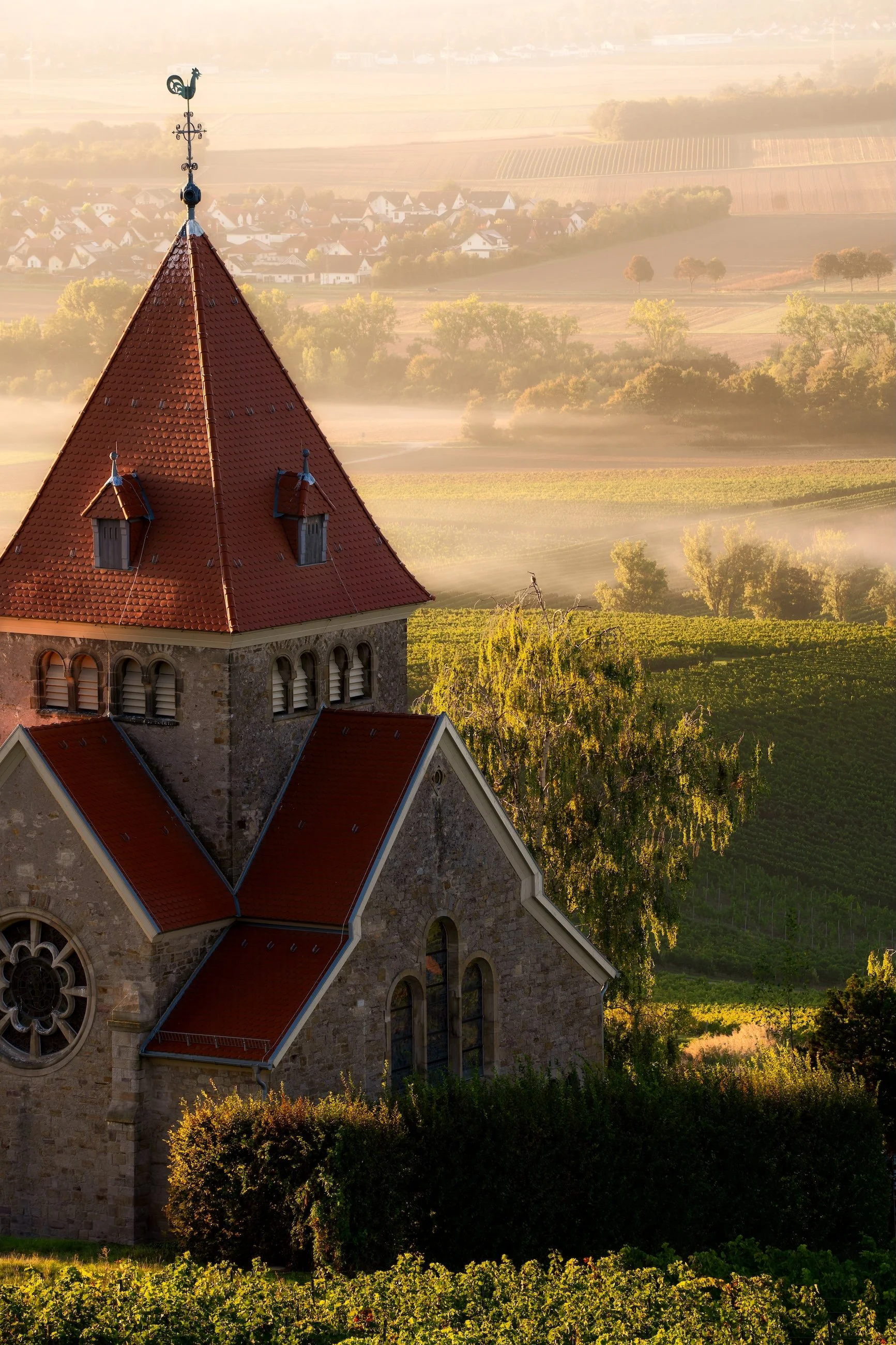 Eine Kirche mit rotem Kirchdach in einer ländlichen Umgebung bei Sonnenaufgang, umgeben von Weinbergen und Feldern, mit einem Hügellandschaft im Hintergrund.