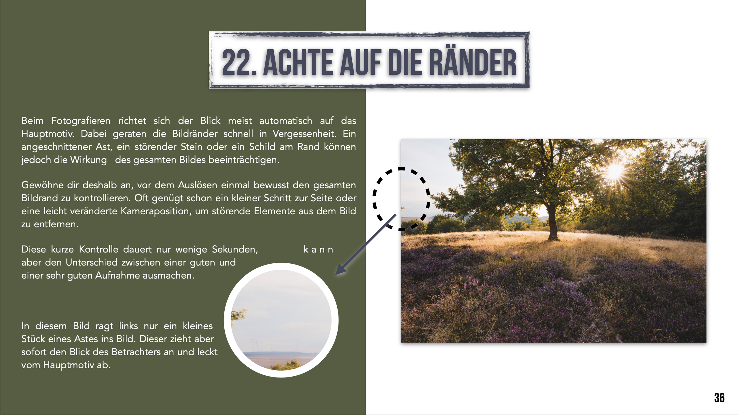 Bildschirmfoto 2026-07-31 um 11.09.41.png