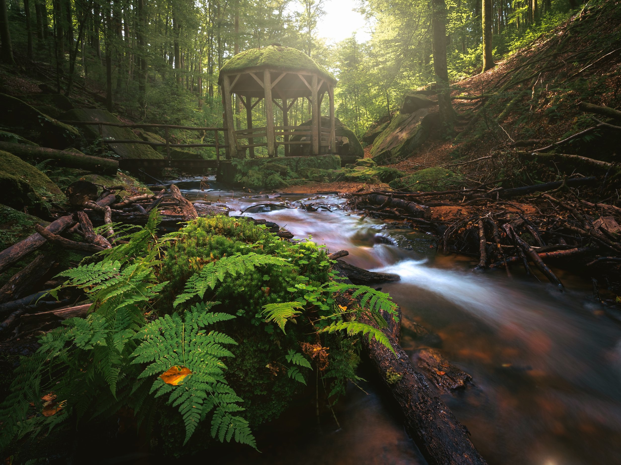 Ein ruhiger Bach fließt durch einen grünen Wald mit einem kleinen Holzpavillon auf einer Brücke im Hintergrund, umgeben von Bäumen und Moos. Die Szene ist sonnenlichtdurchflutet.