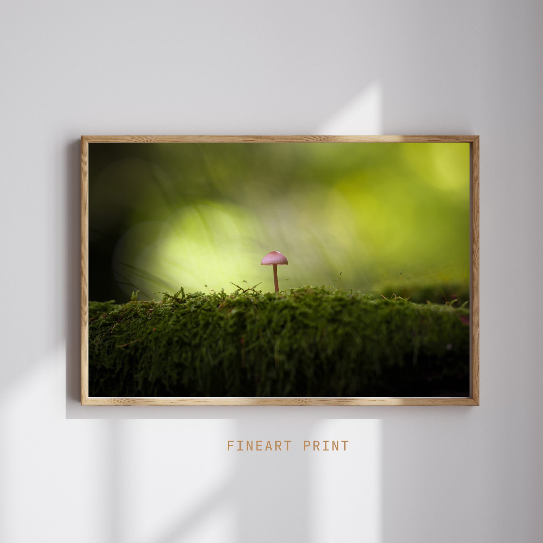 Herbstzeit ist Pilzzeit