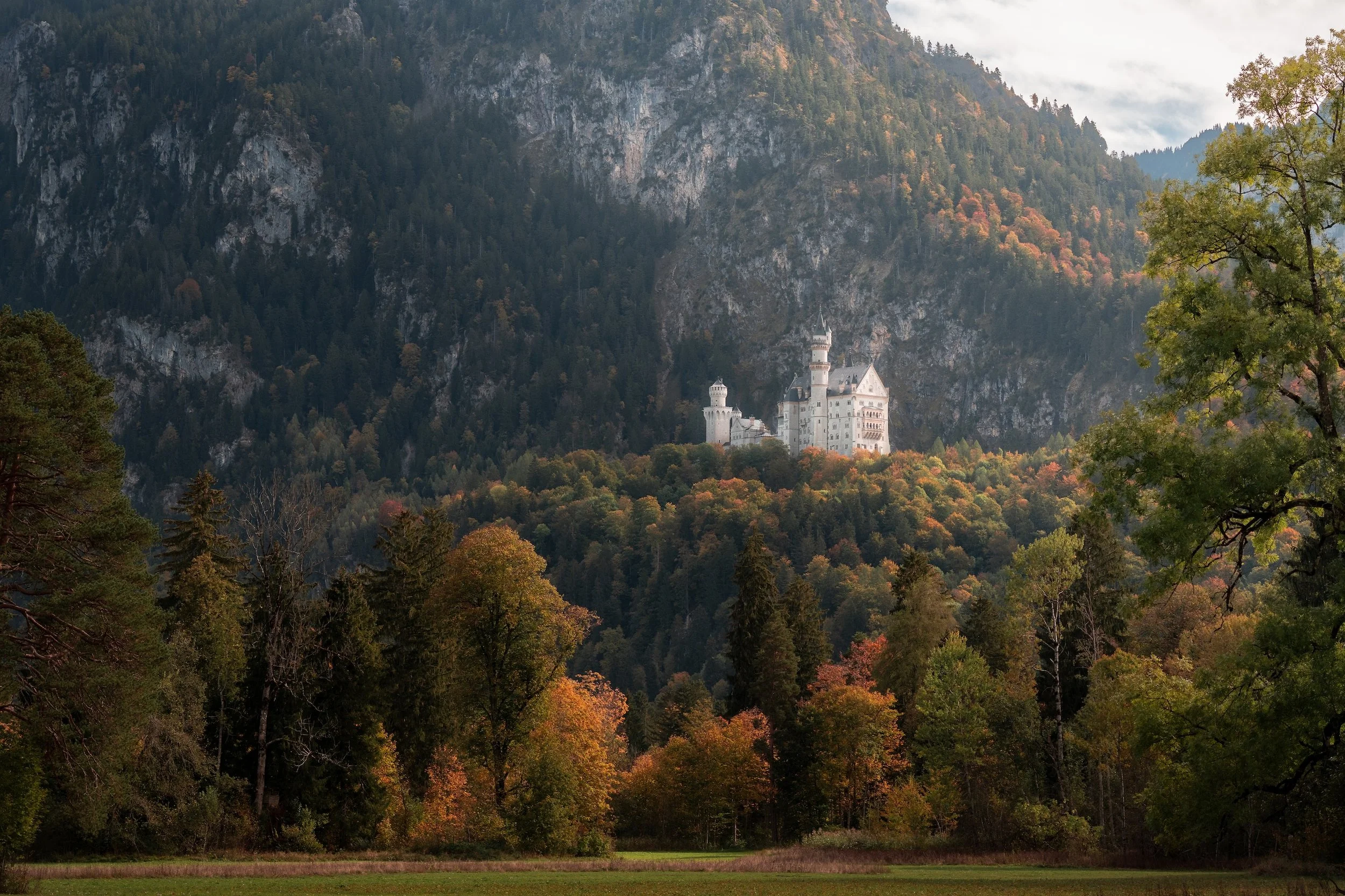 Burg auf einem Hügel vor einem bewaldeten Berg mit Herbstfarben, umgeben von Bäumen im Vordergrund.