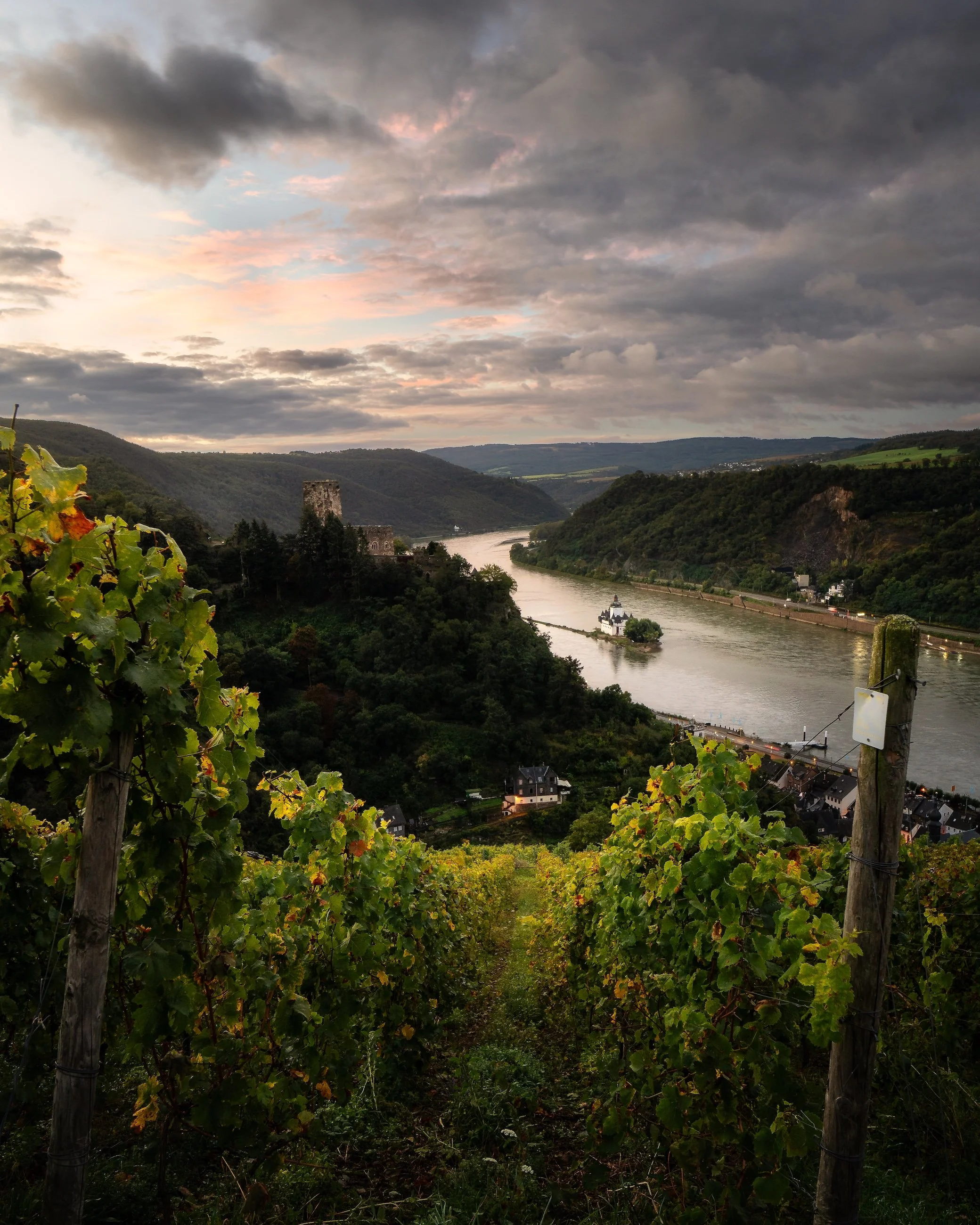 Weinberge mit Blick auf den Fluss und die umliegenden Hügellandschaften bei Sonnenuntergang im Abendlicht.