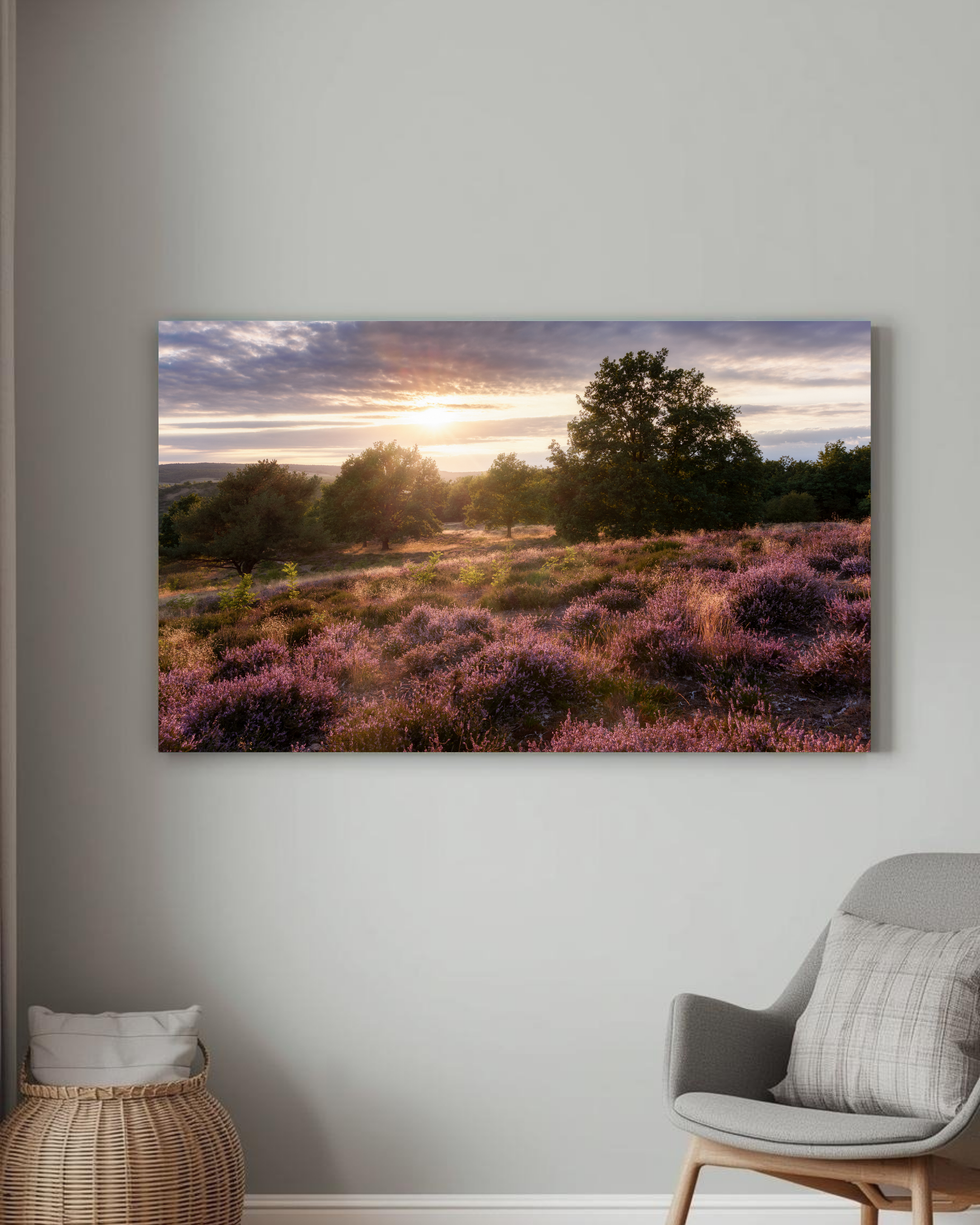 Heideblüte Rheinhessen