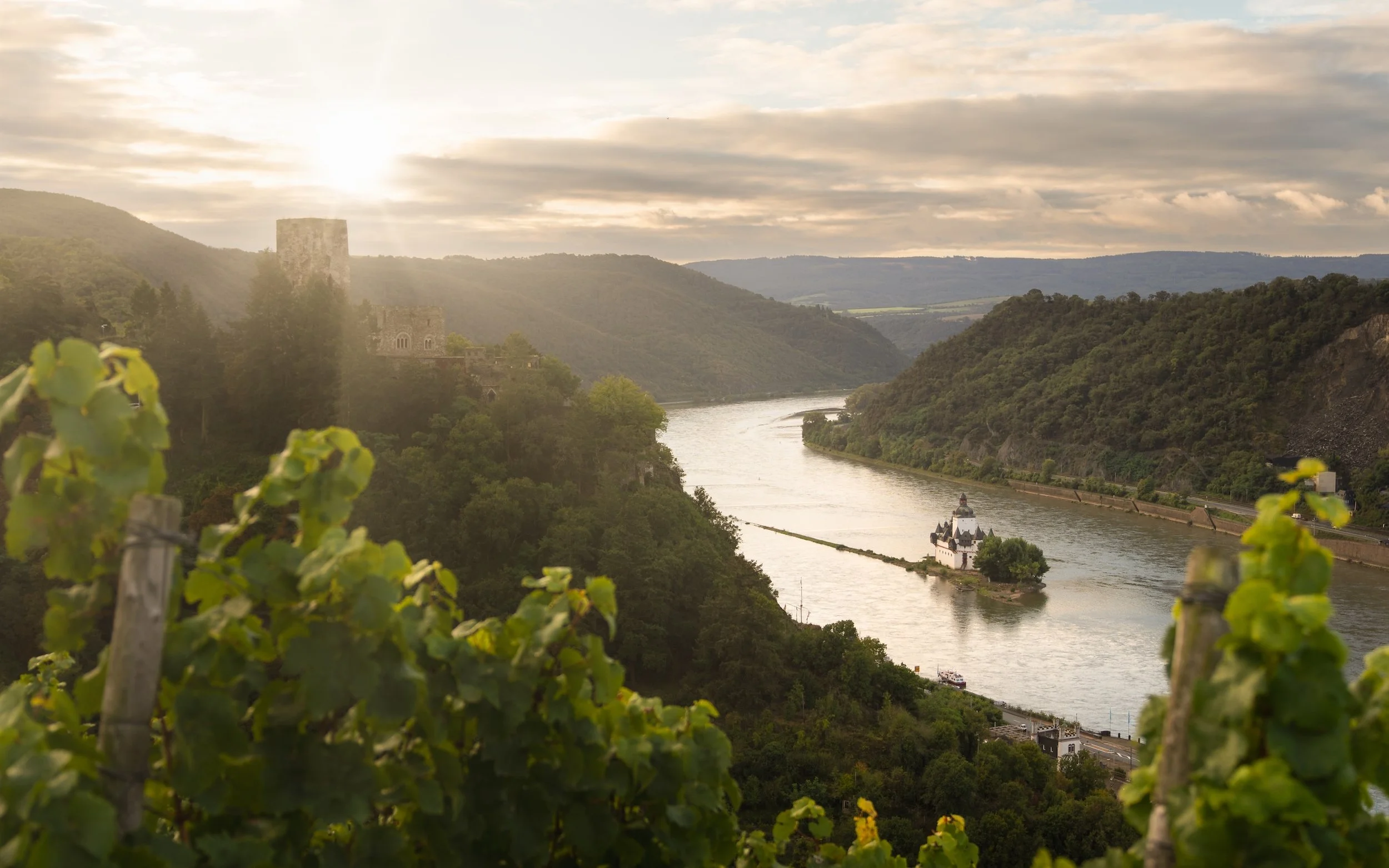 Blick auf den Fluss entlang einer Hügellandschaft mit Burgtürmen und einem kleinen Schloss. Weinreben im Vordergrund, leicht bewölkter Himmel mit Sonnenlicht.