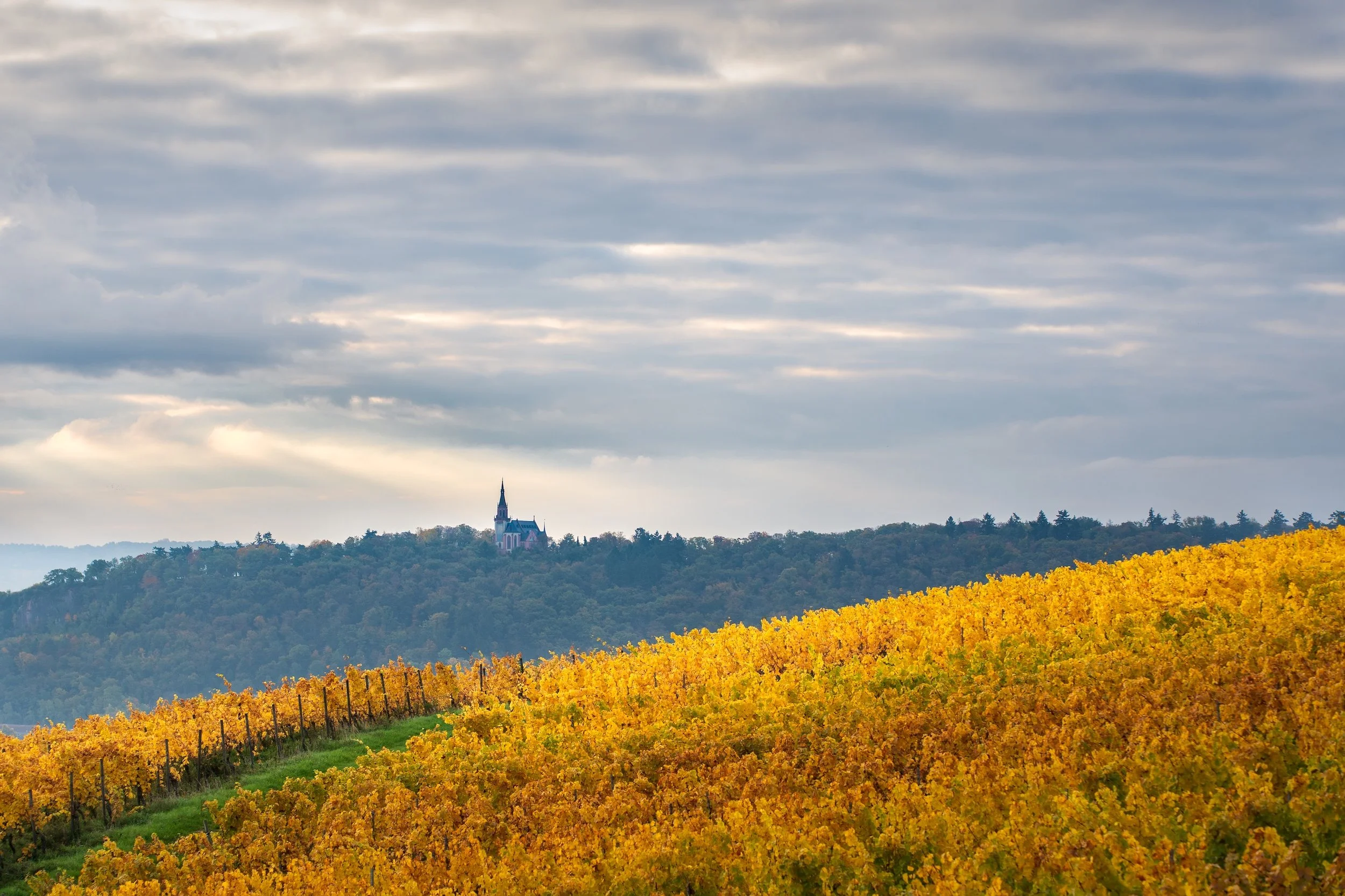 Weinberge im Herbst in der Nähe eines Hügels mit einer Kirche auf der Spitze bei bewölktem Himmel.